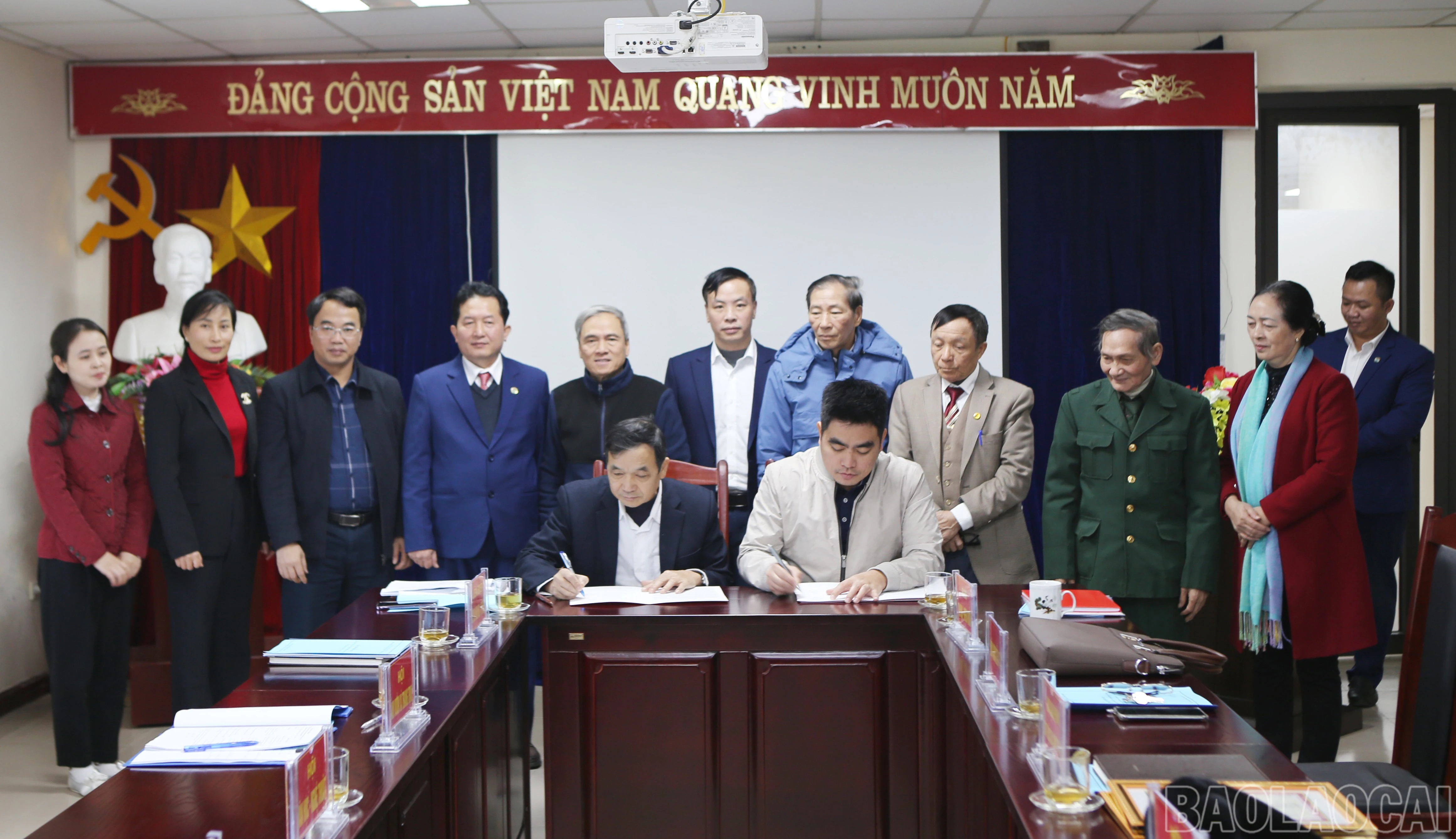 baolaocai-br_xh-6.jpg