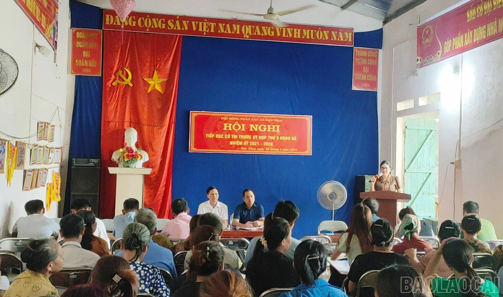 baolaocai-br_5.jpg
