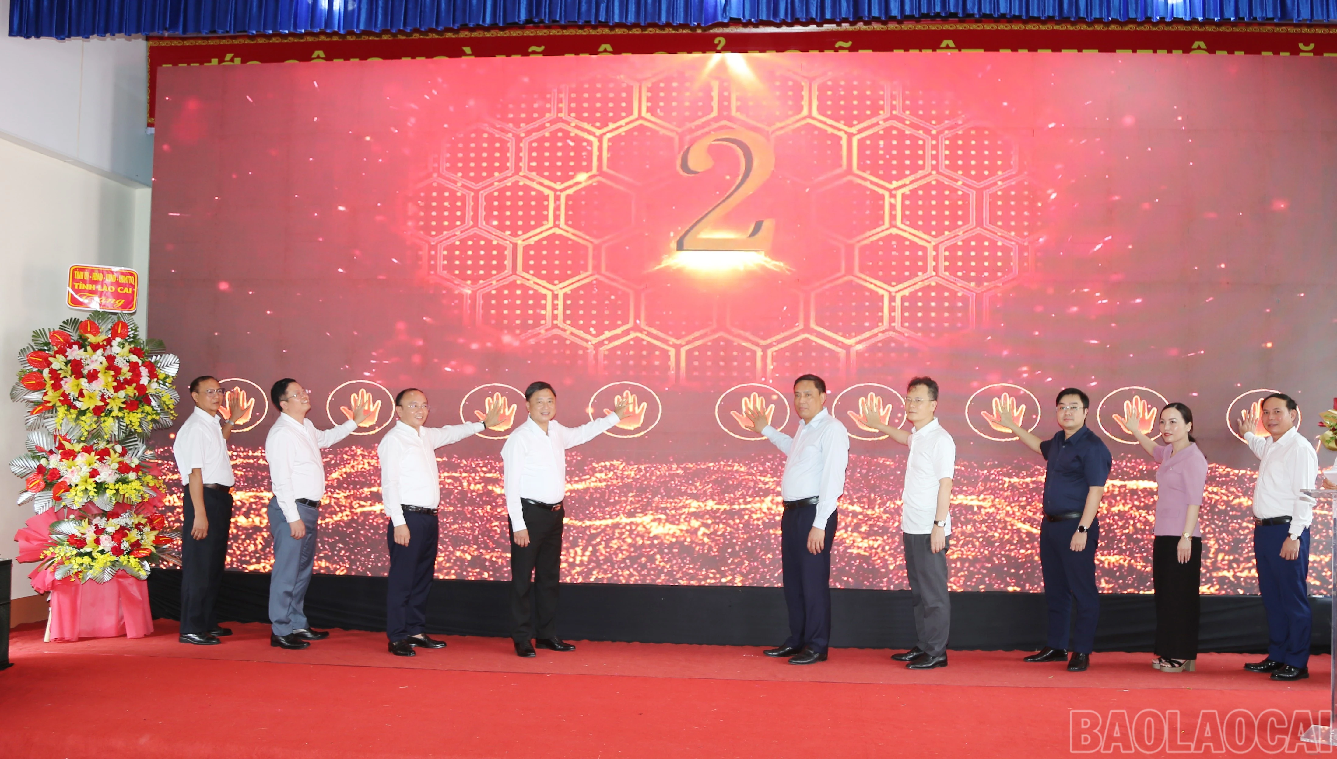 baolaocai-br_a-3.jpg