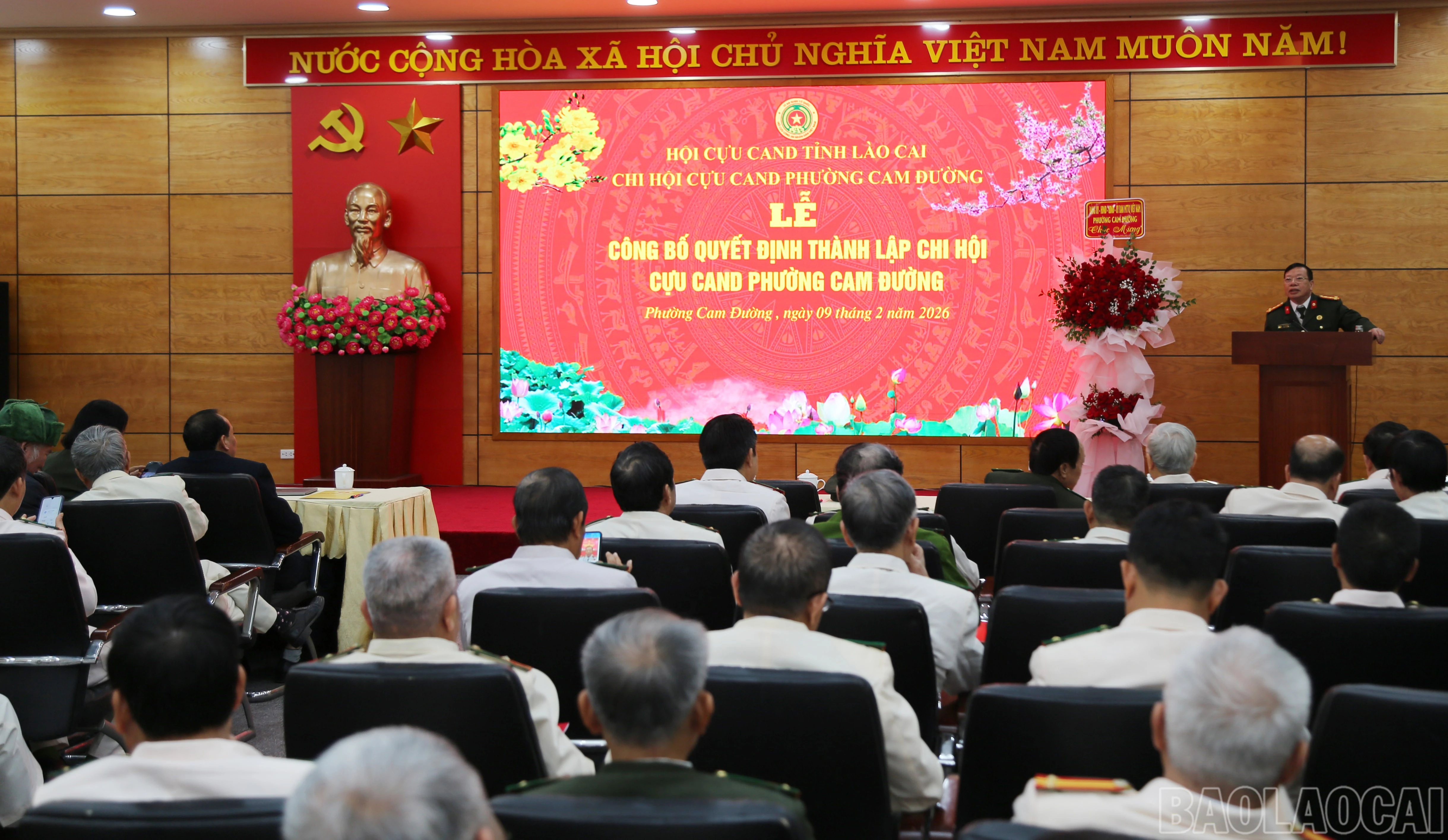 baolaocai-br_q-1.jpg