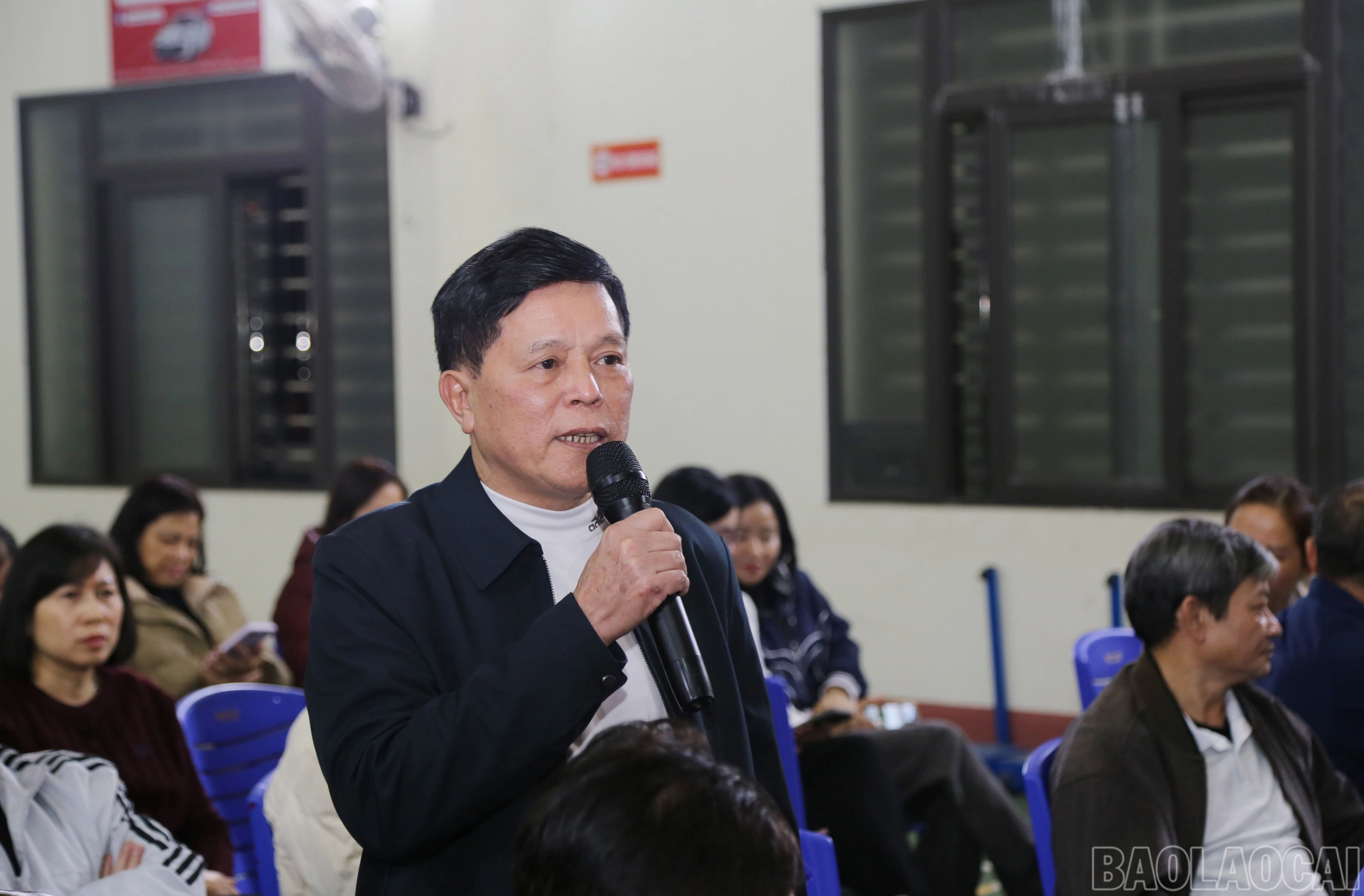 baolaocai-br_a-3.jpg