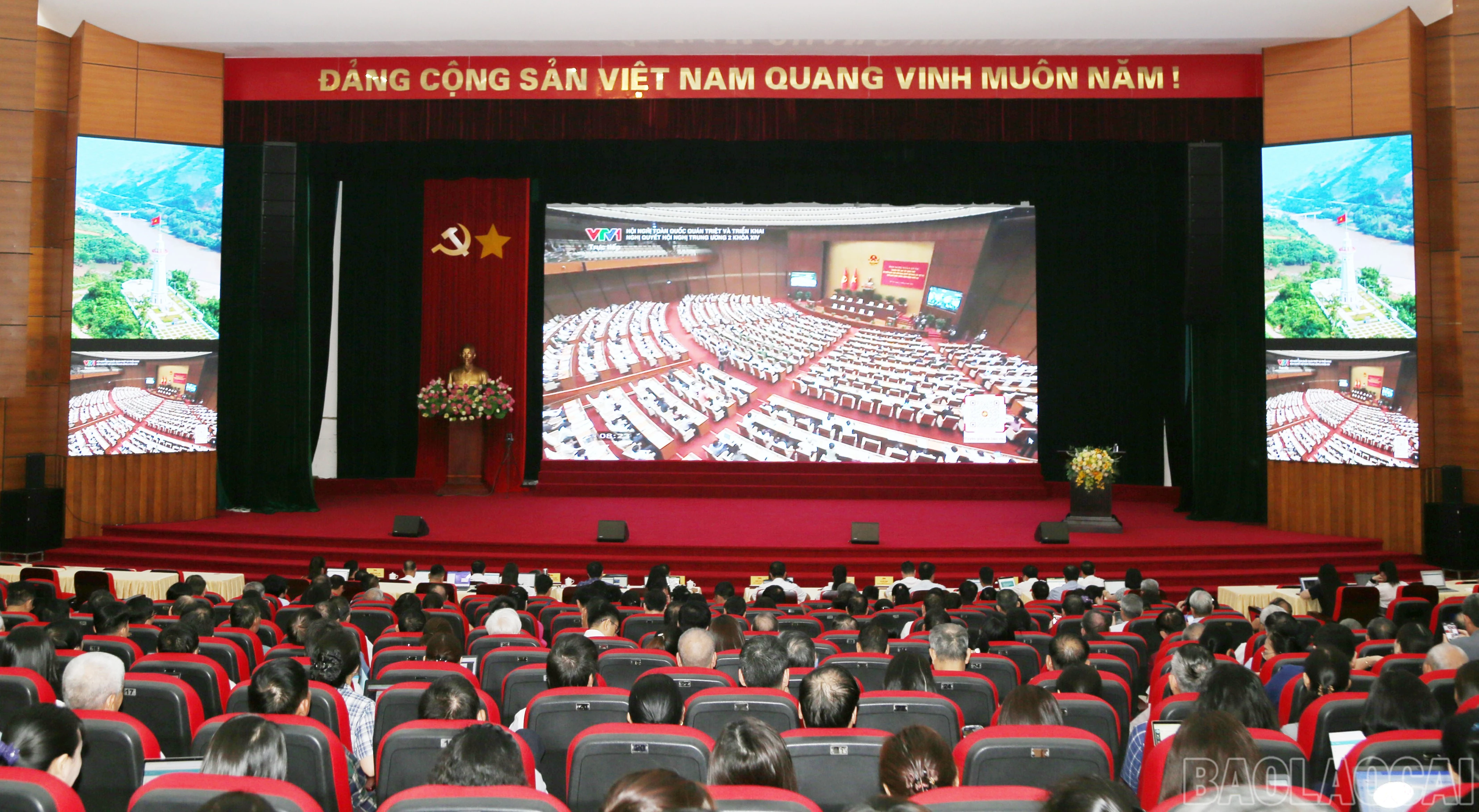 baolaocai-br_a-1.jpg