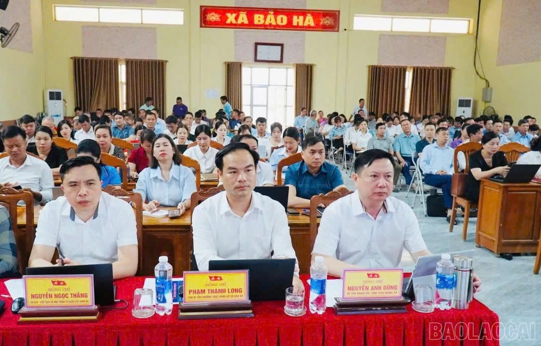 baolaocai-br_b-3.jpg