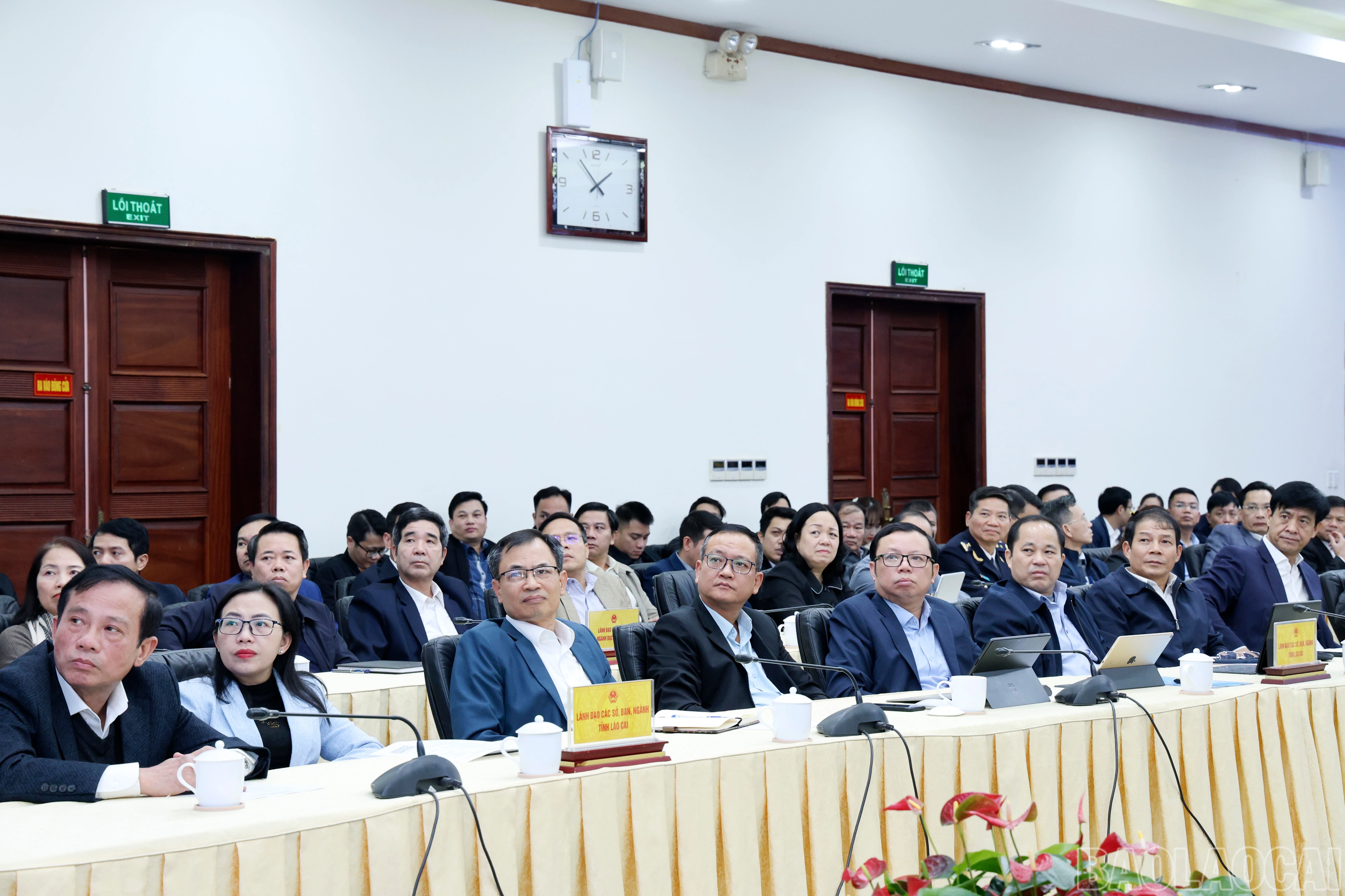 baolaocai-br_060a1464.jpg