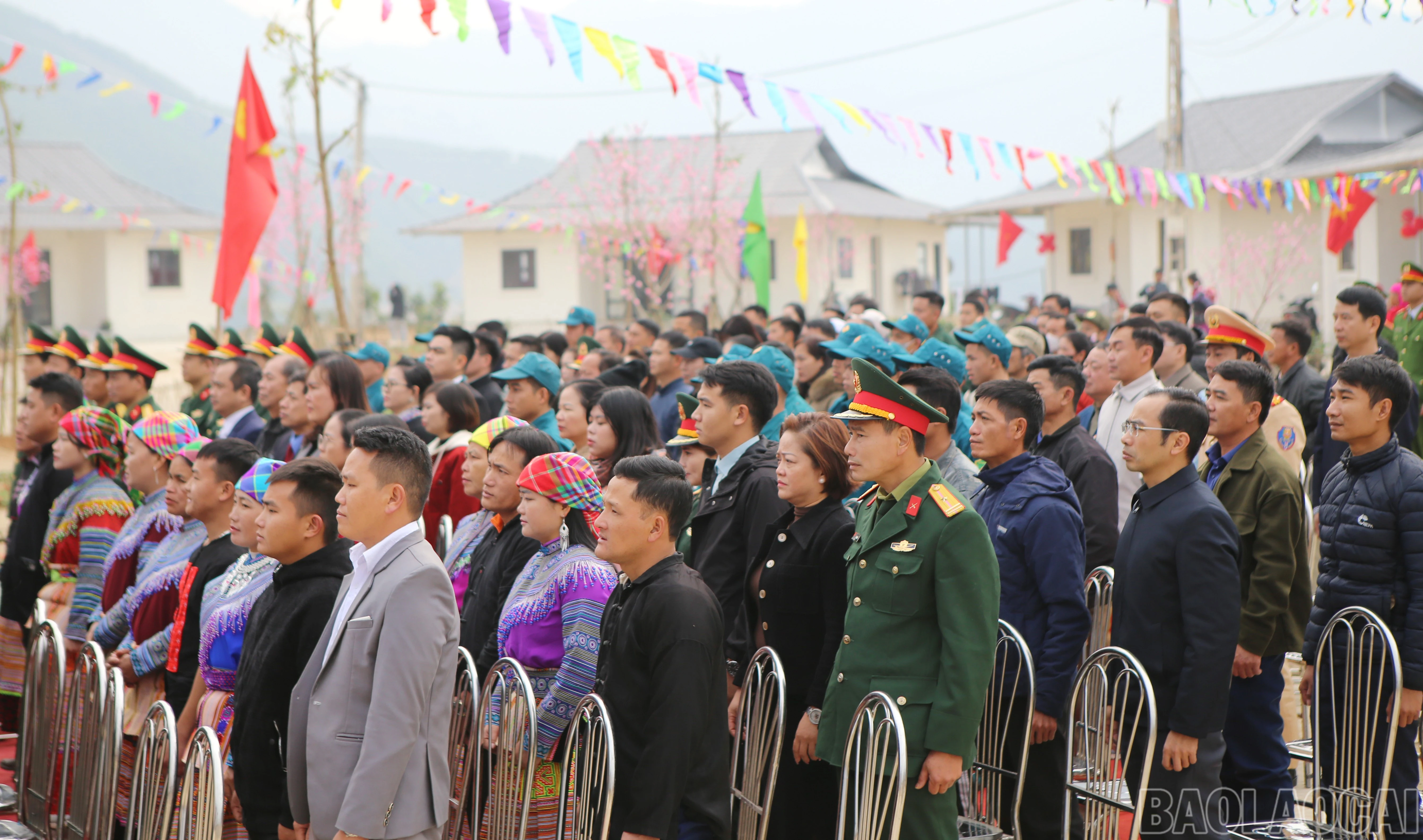 baolaocai-br_nt-3.jpg