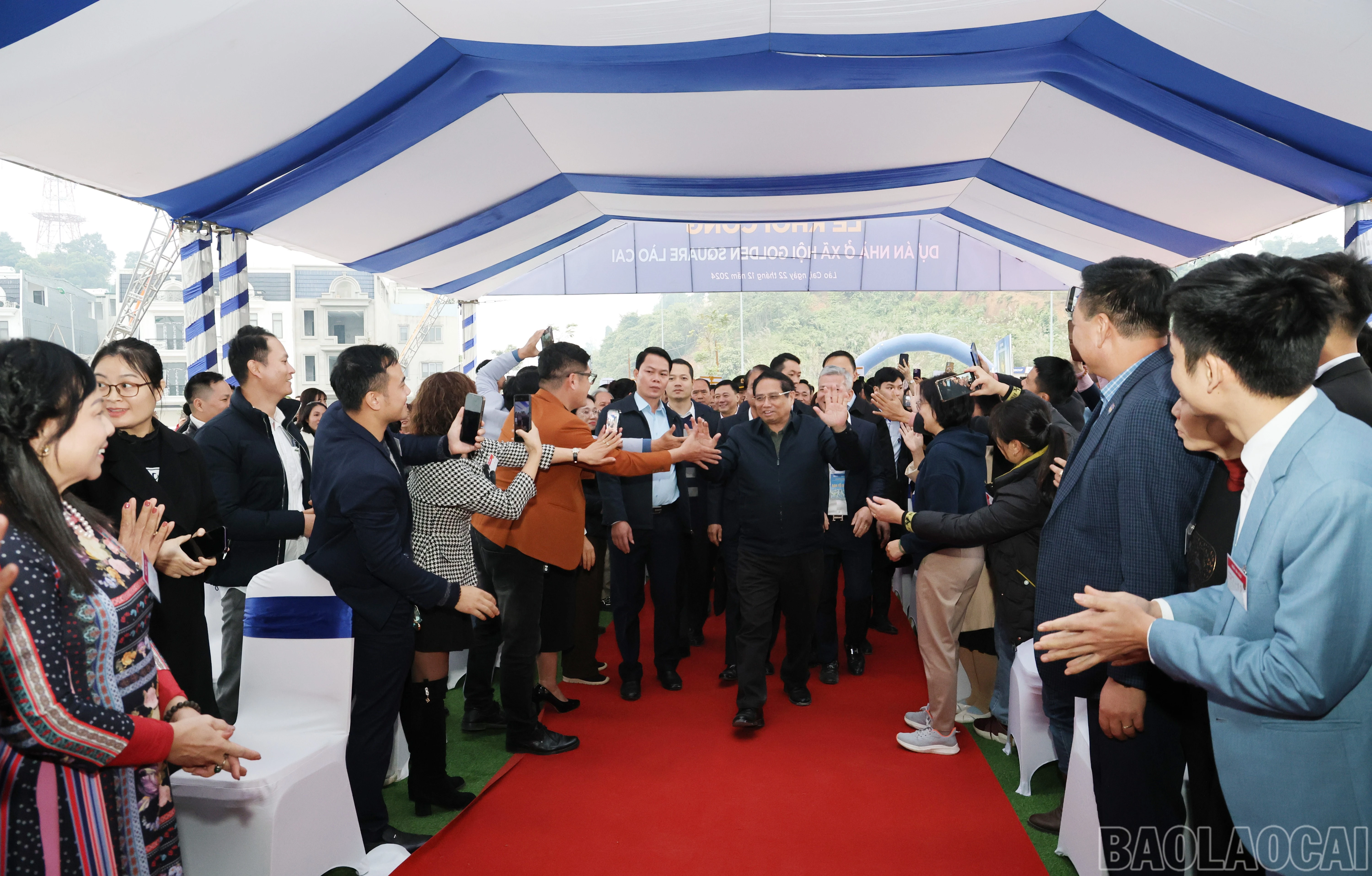 baolaocai-br_xh-6.jpg