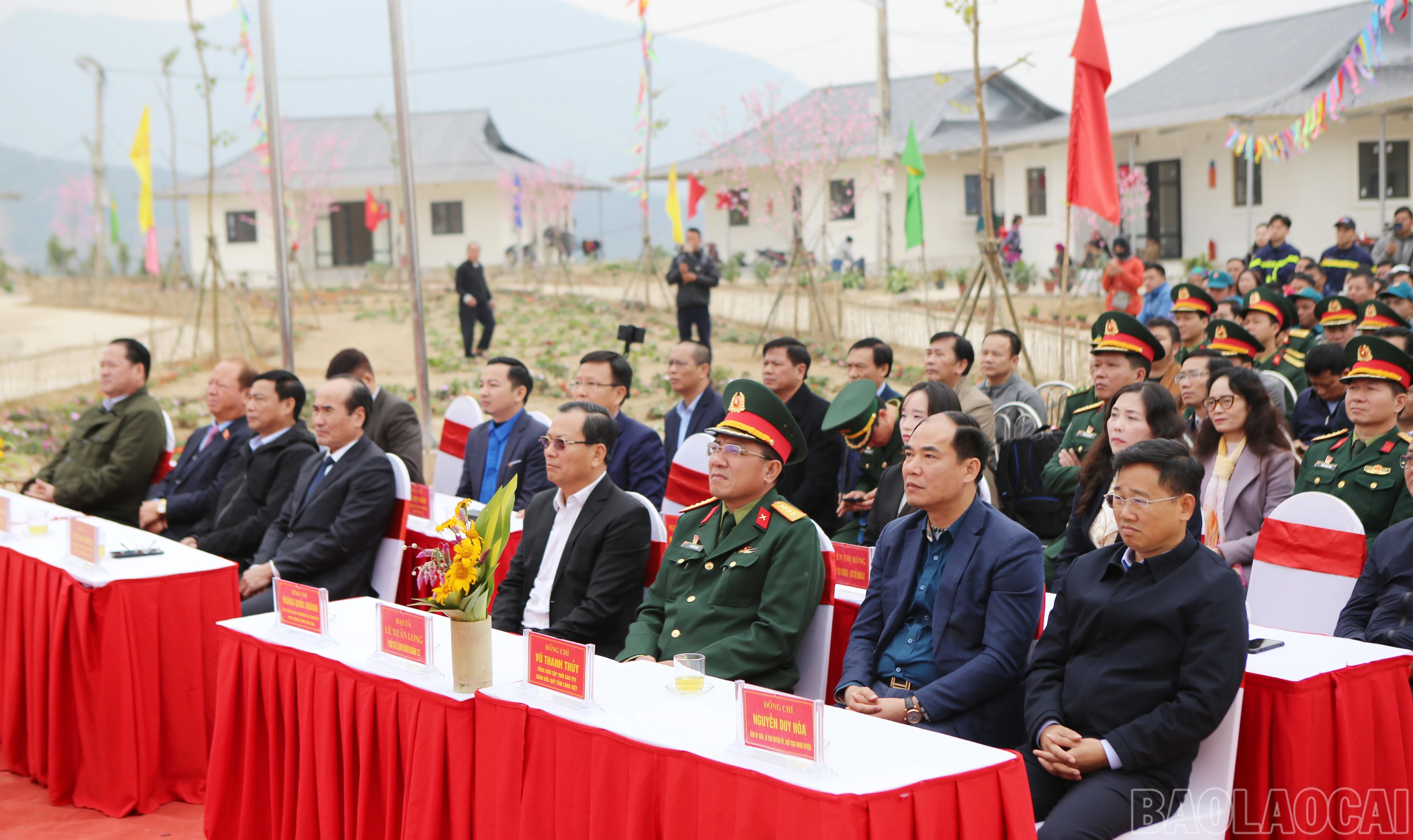 baolaocai-br_nt-2.jpg
