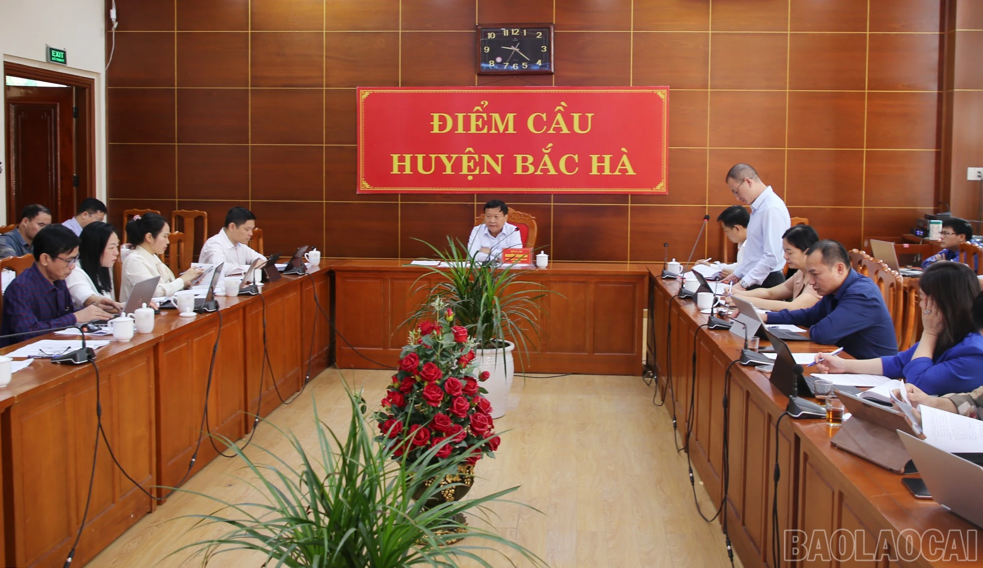 baolaocai-br_h-1.jpg