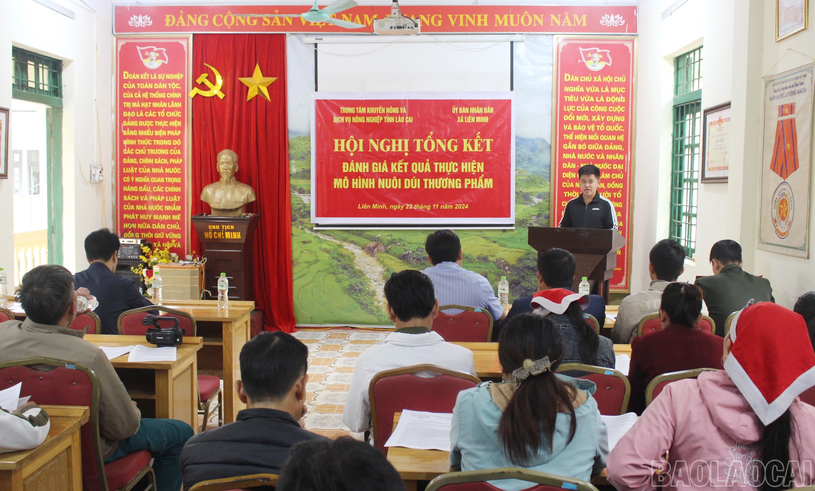 baolaocai-br_lm-1.jpg