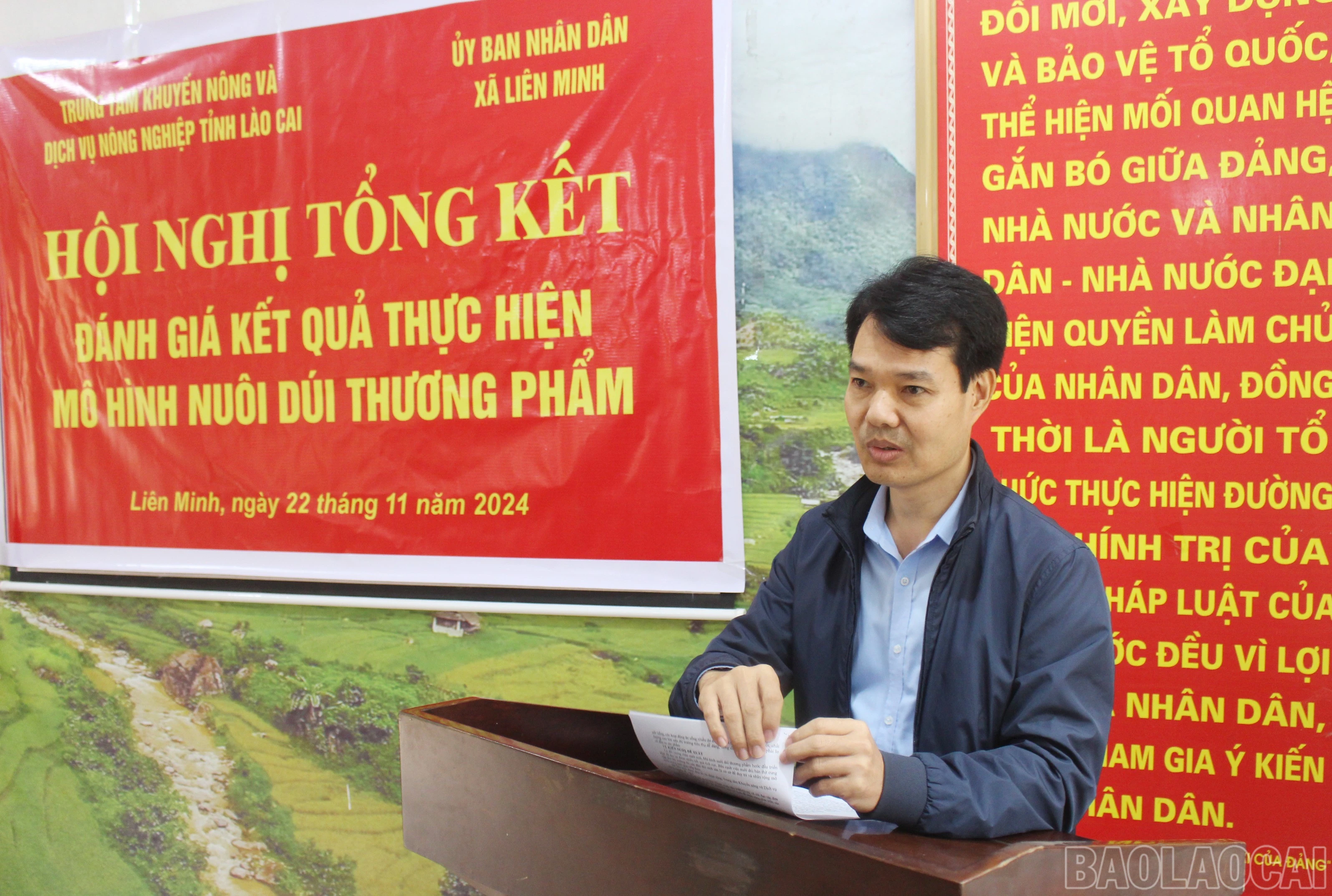 baolaocai-br_lm-3.jpg