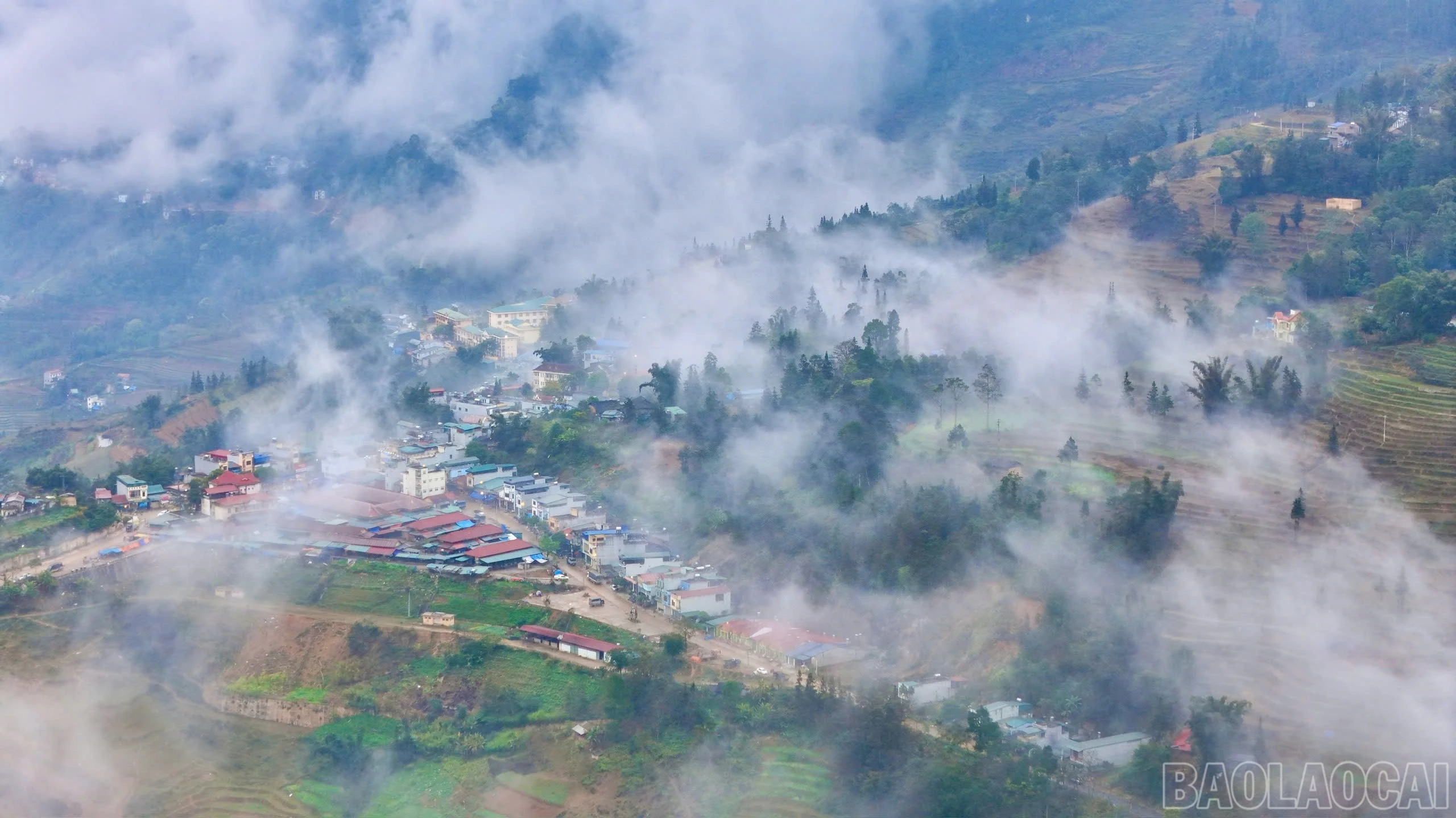 baolaocai-br_si-10.jpg
