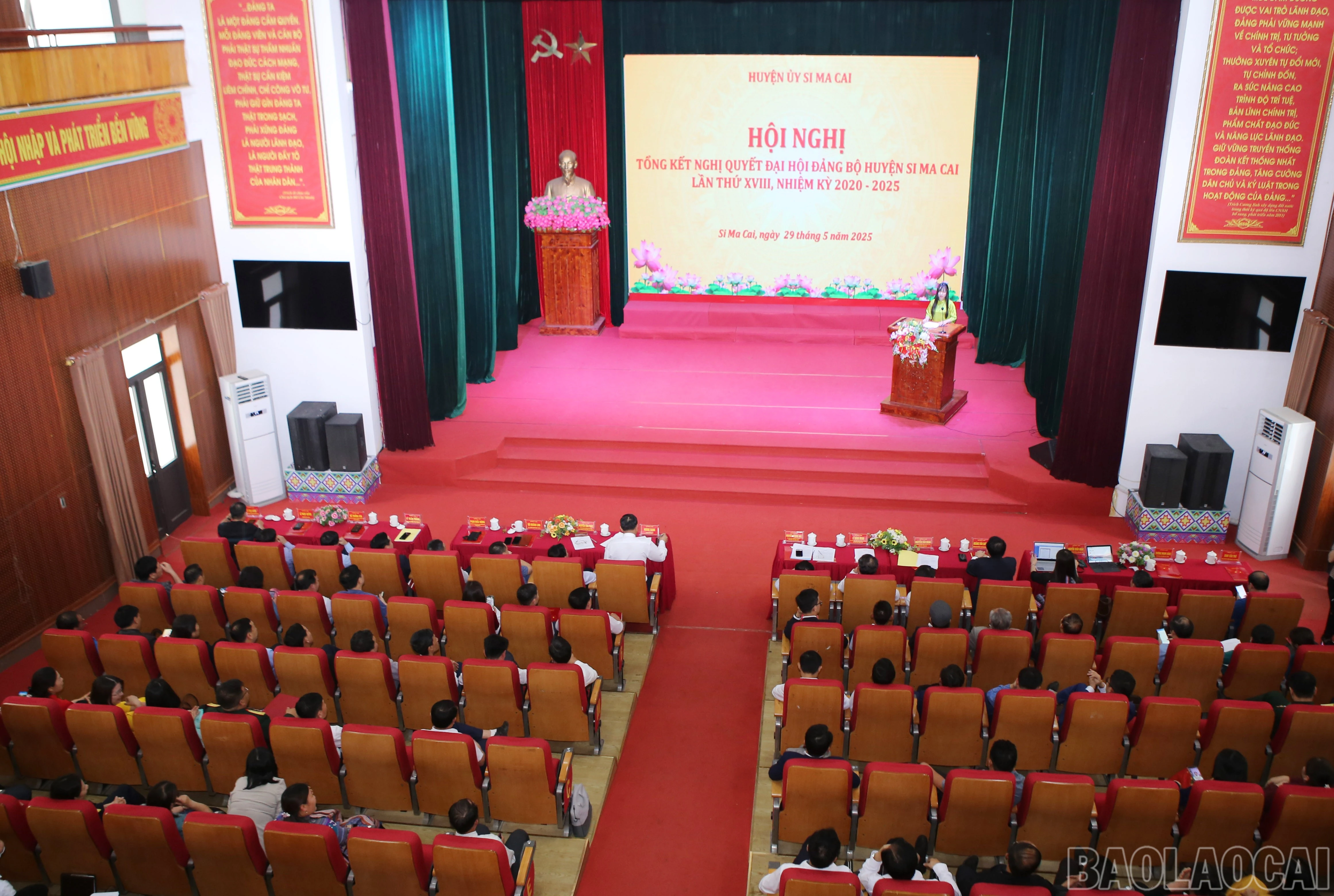 baolaocai-br_s-1.jpg