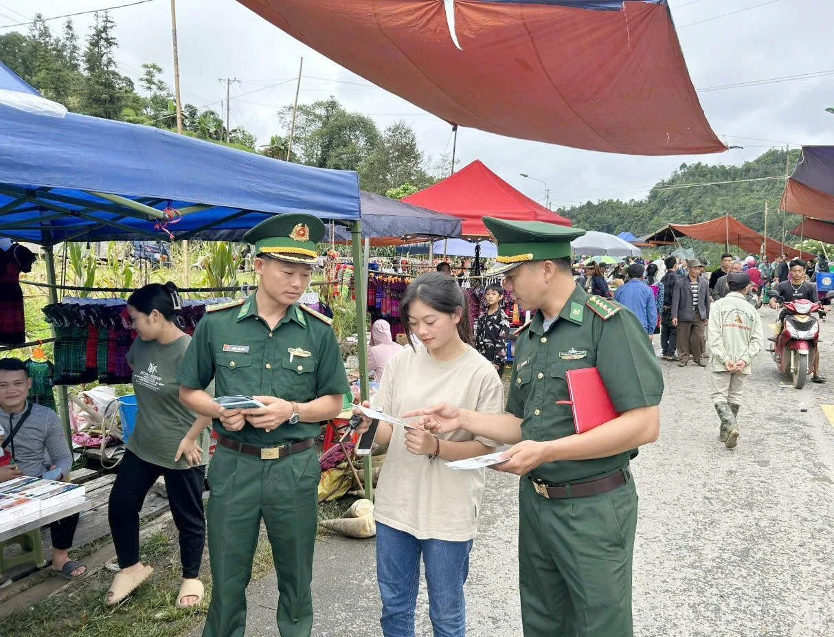 baolaocai-br_mk-3.jpg