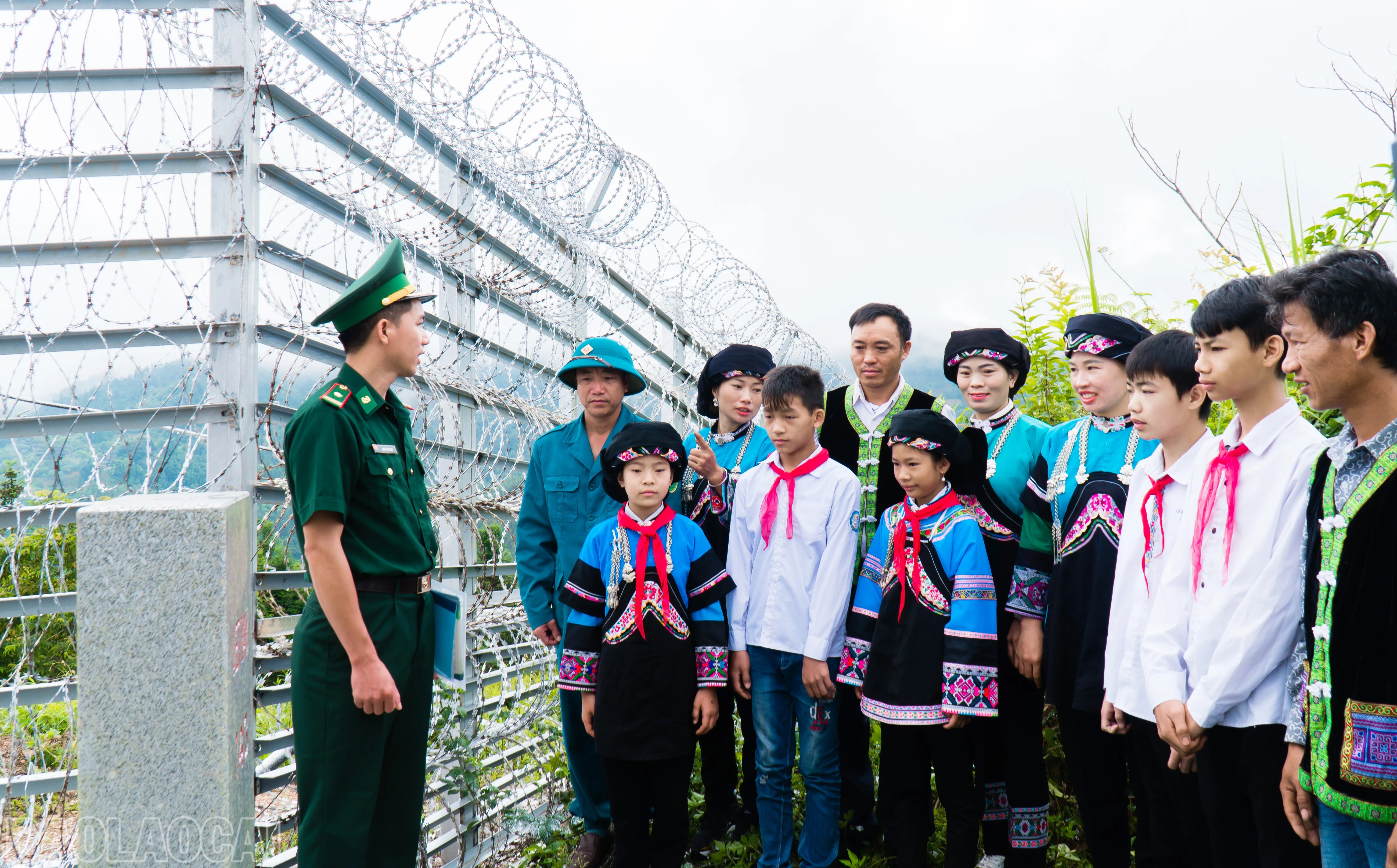 baolaocai-bl_mk-7.jpg
