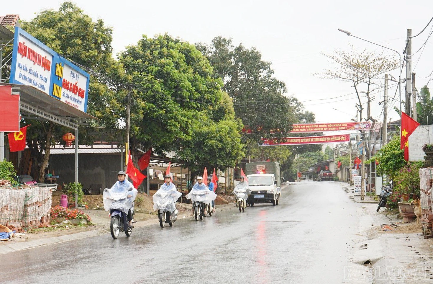 baolaocai-br_a-3.jpg