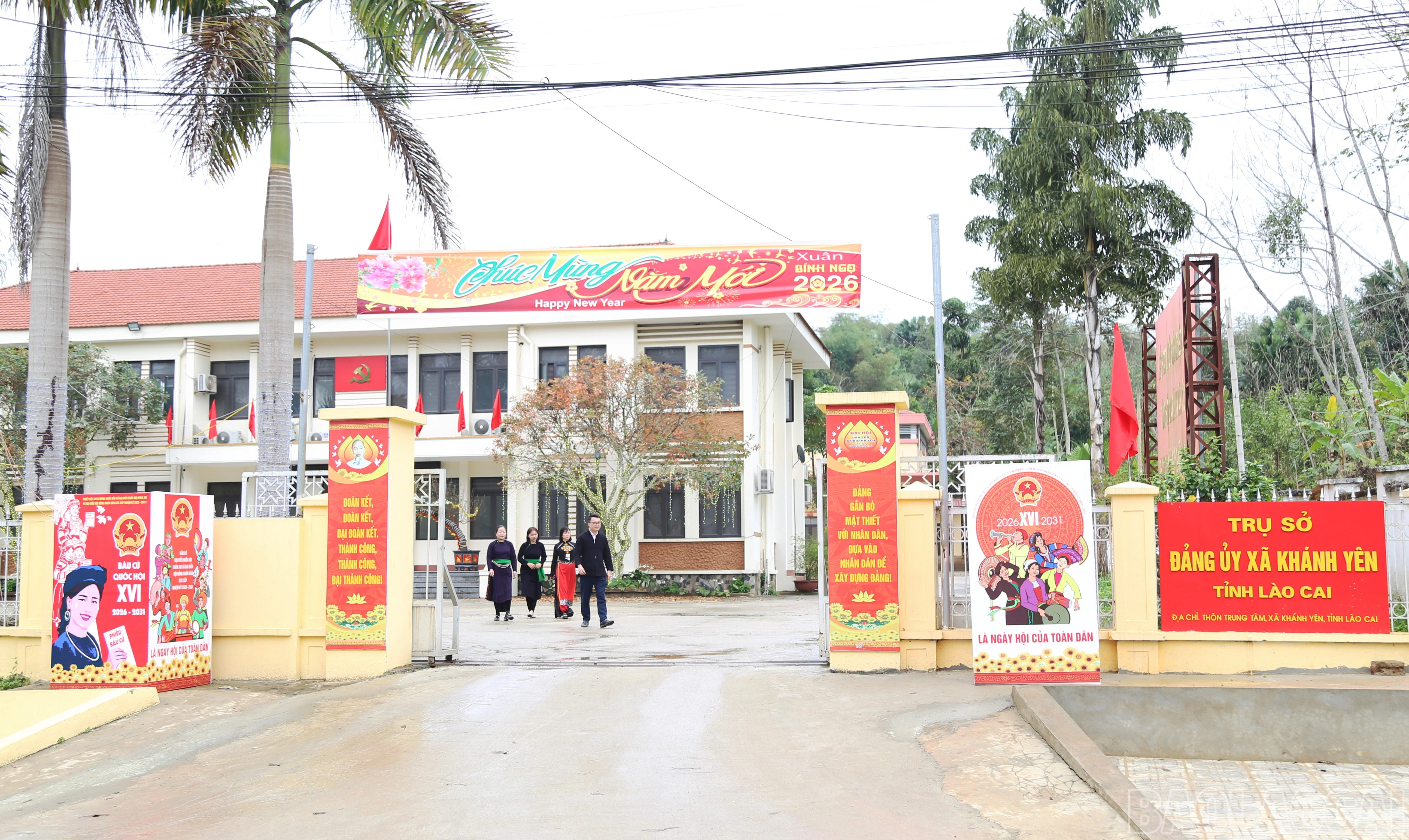 baolaocai-br_a-6.jpg