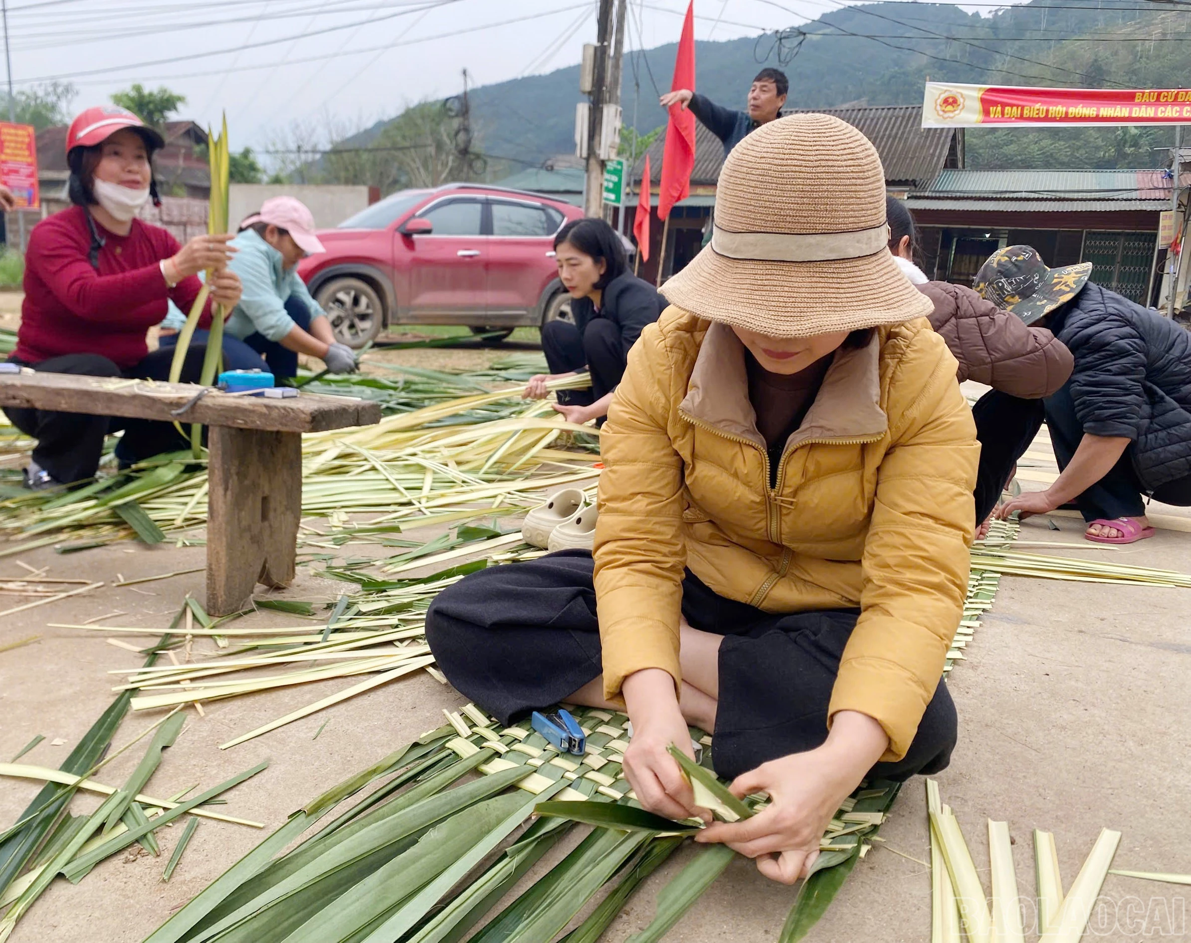 baolaocai-br_c-8.jpg