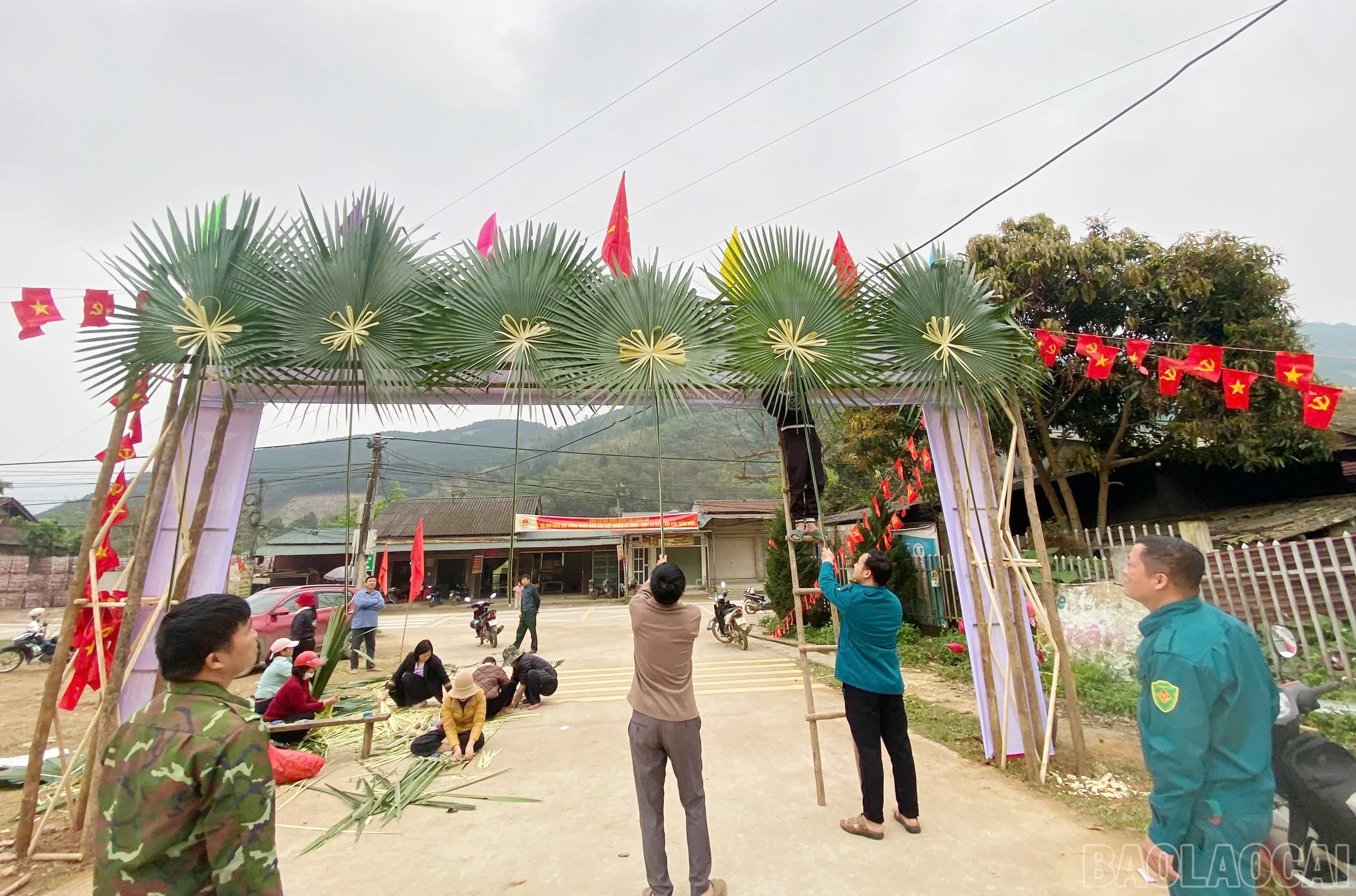 baolaocai-br_c-10.jpg