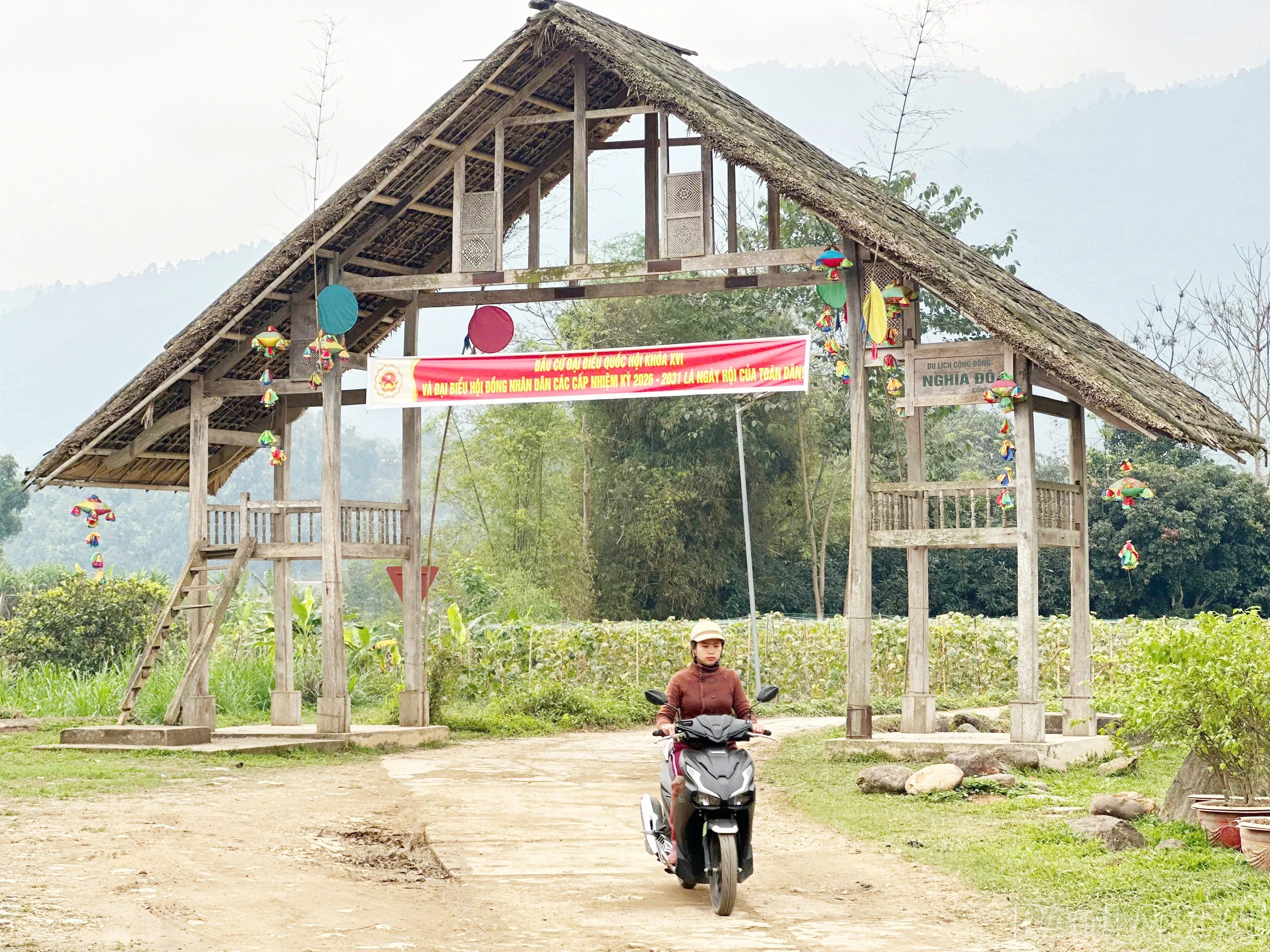 baolaocai-br_c-12.jpg