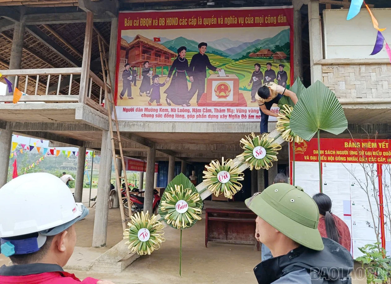 baolaocai-br_c-5.jpg