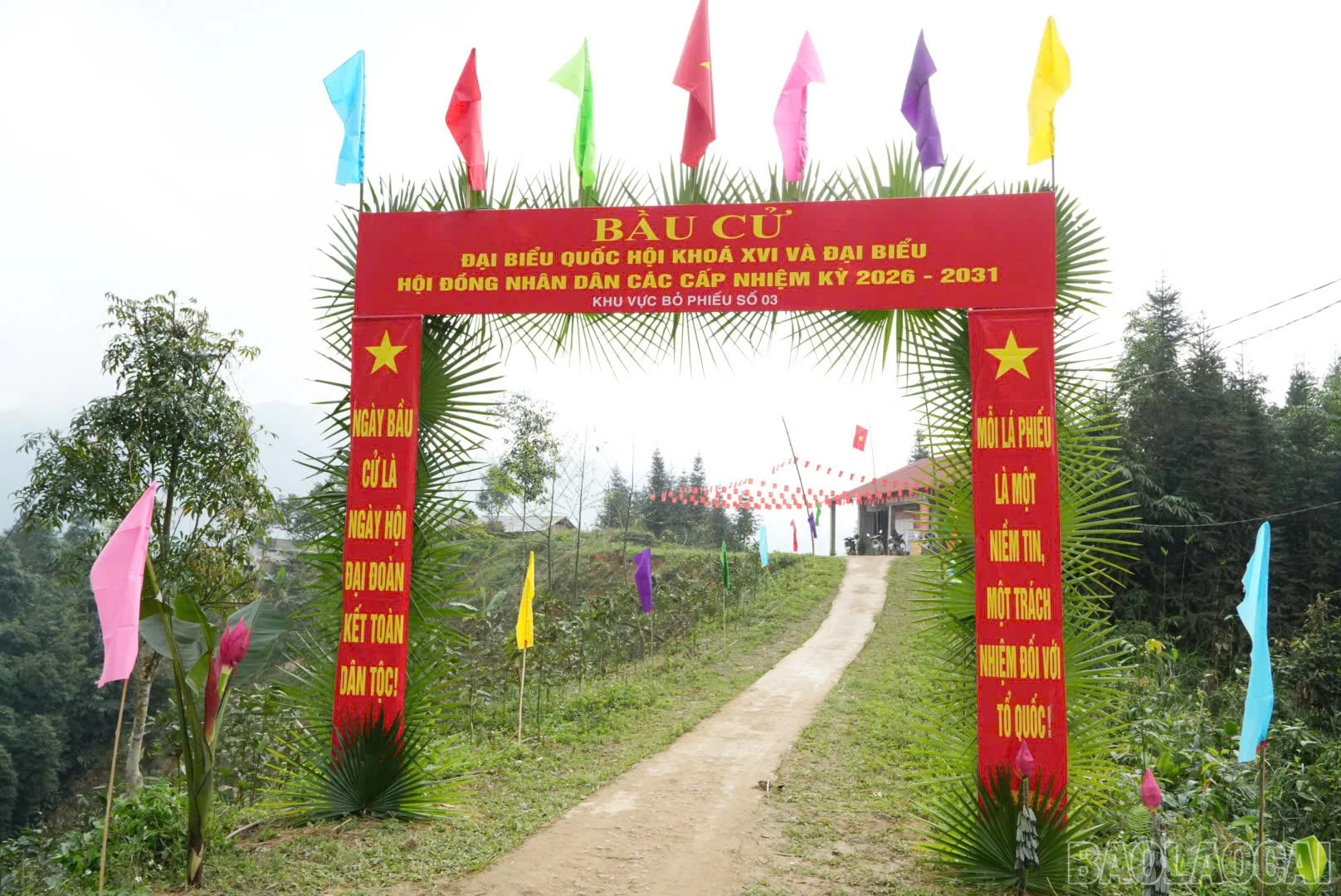 baolaocai-br_c-4.jpg