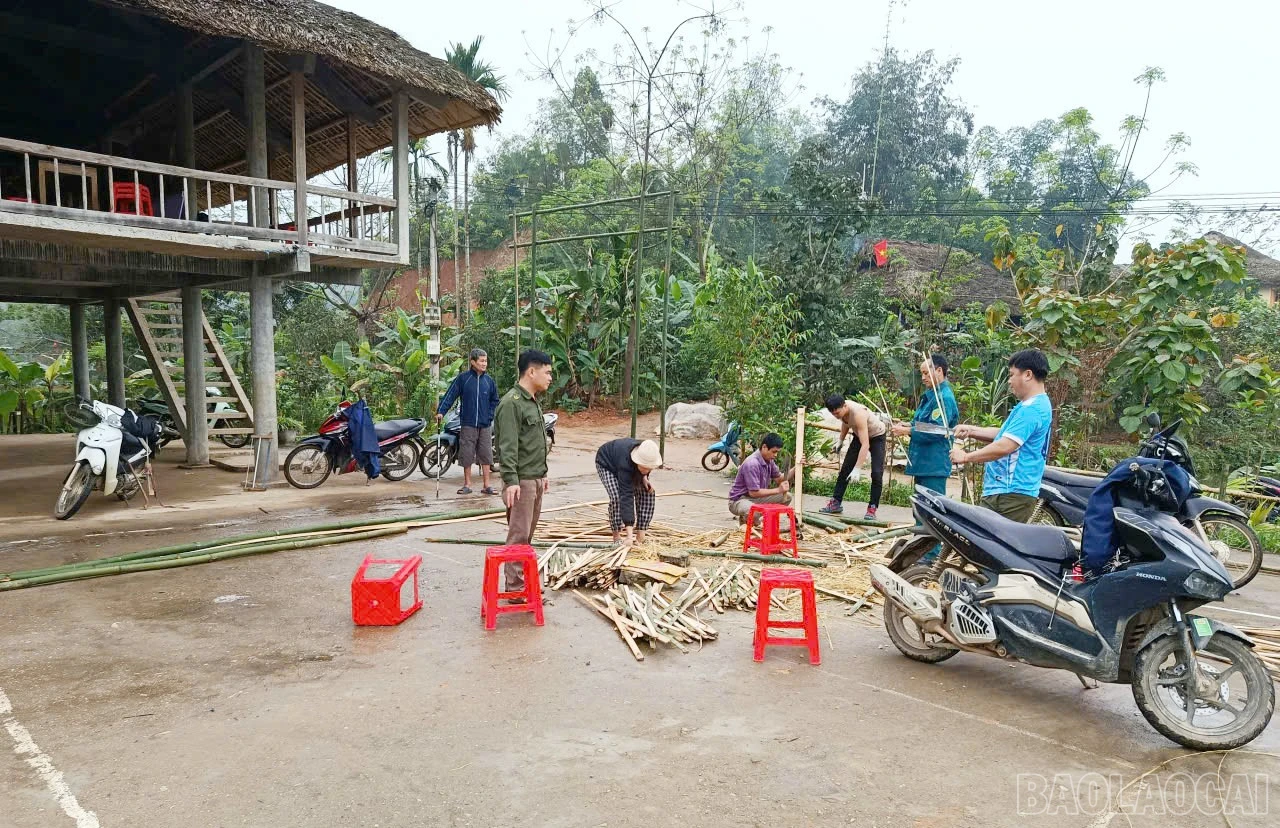 baolaocai-br_c-2.jpg