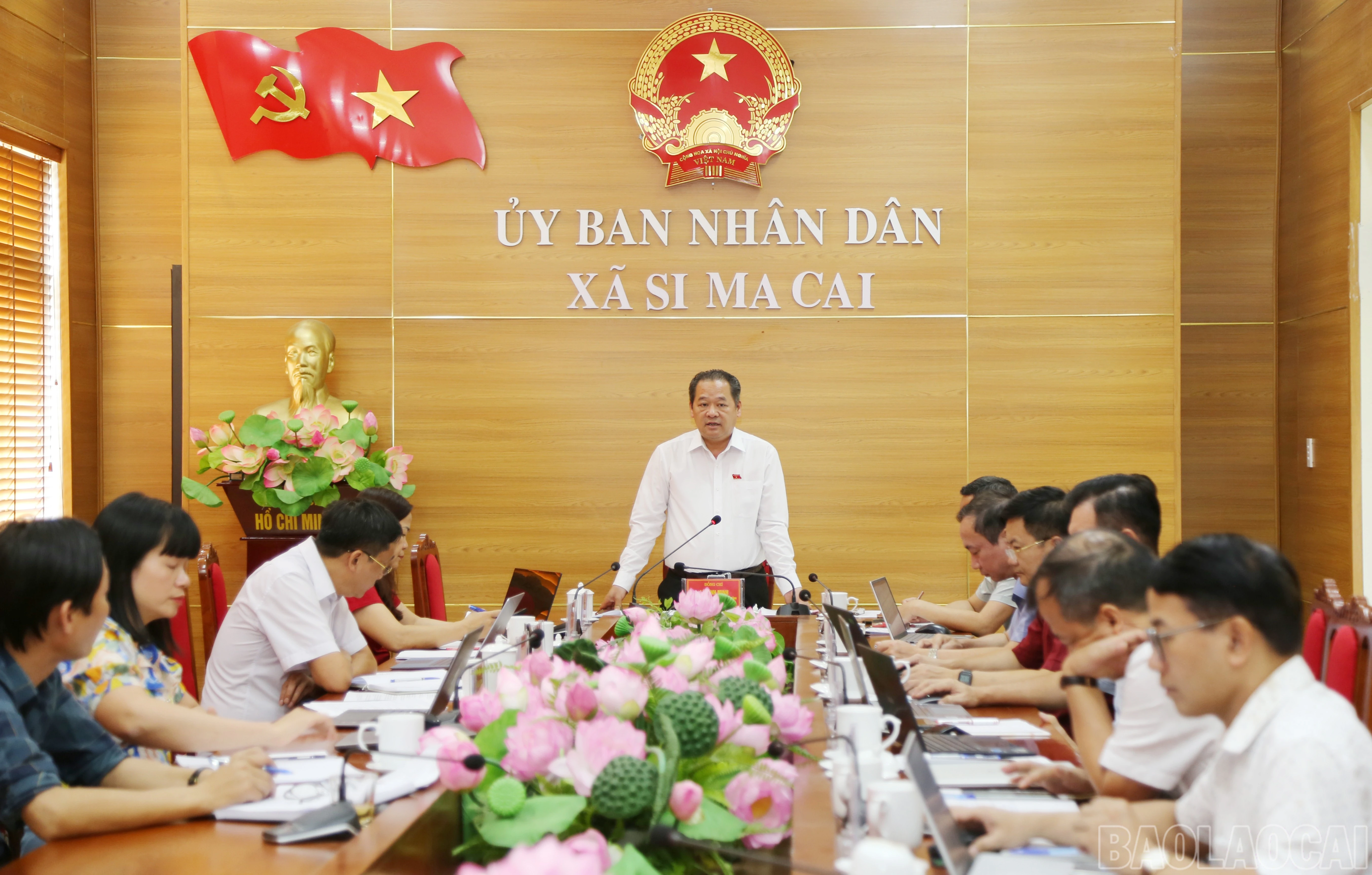 baolaocai-br_4.jpg