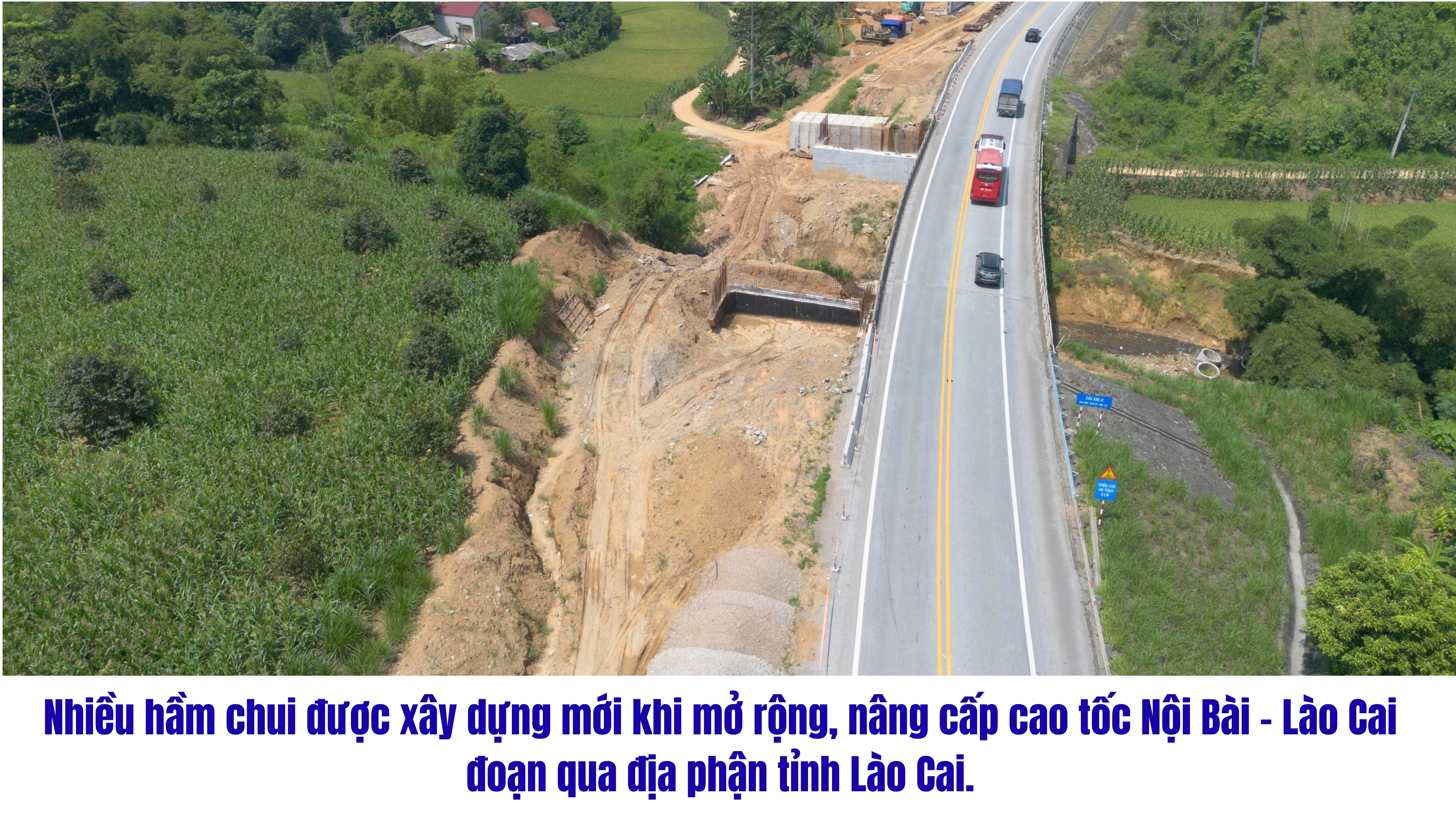 65.jpg