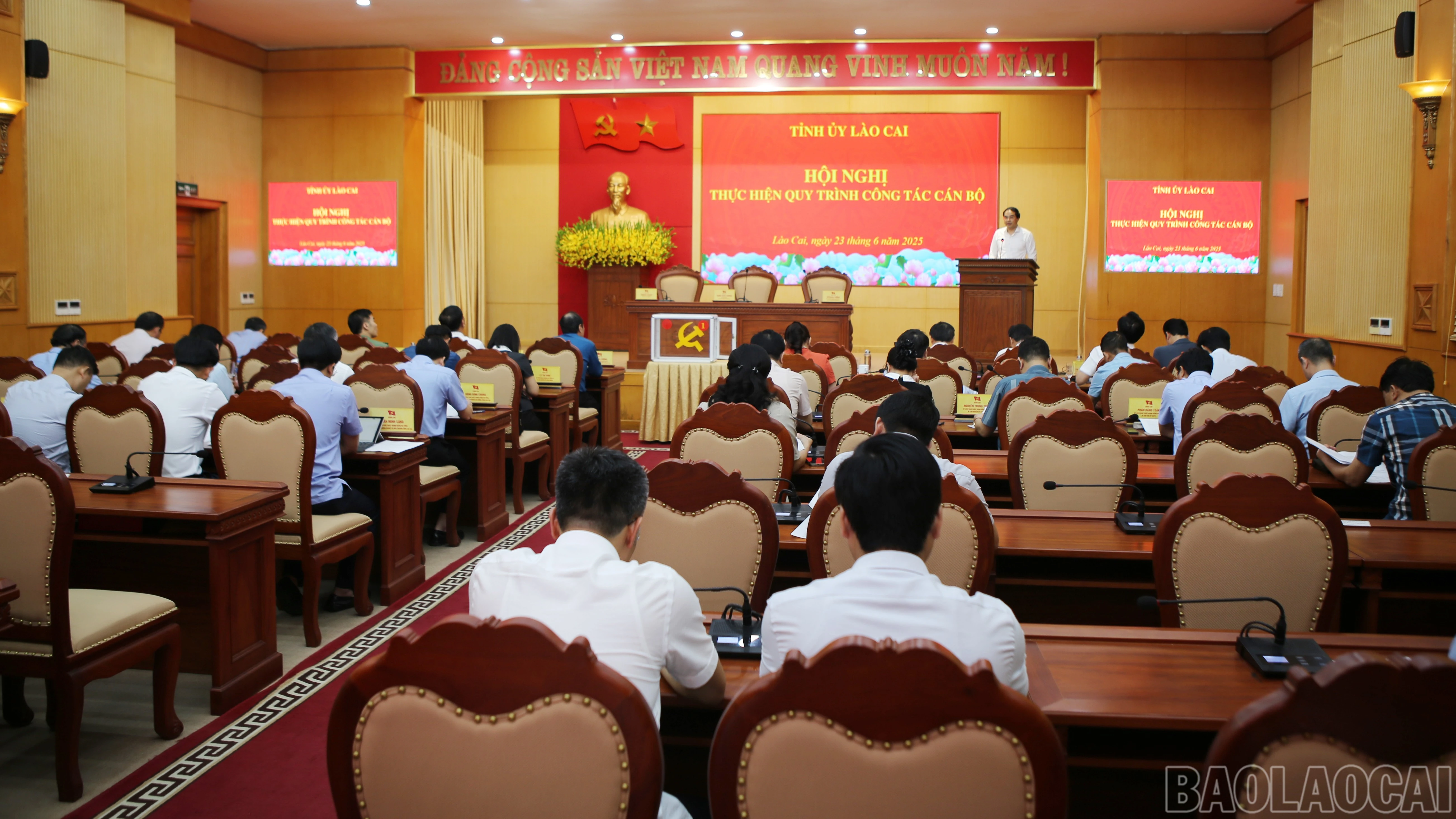 baolaocai-br_1.jpg