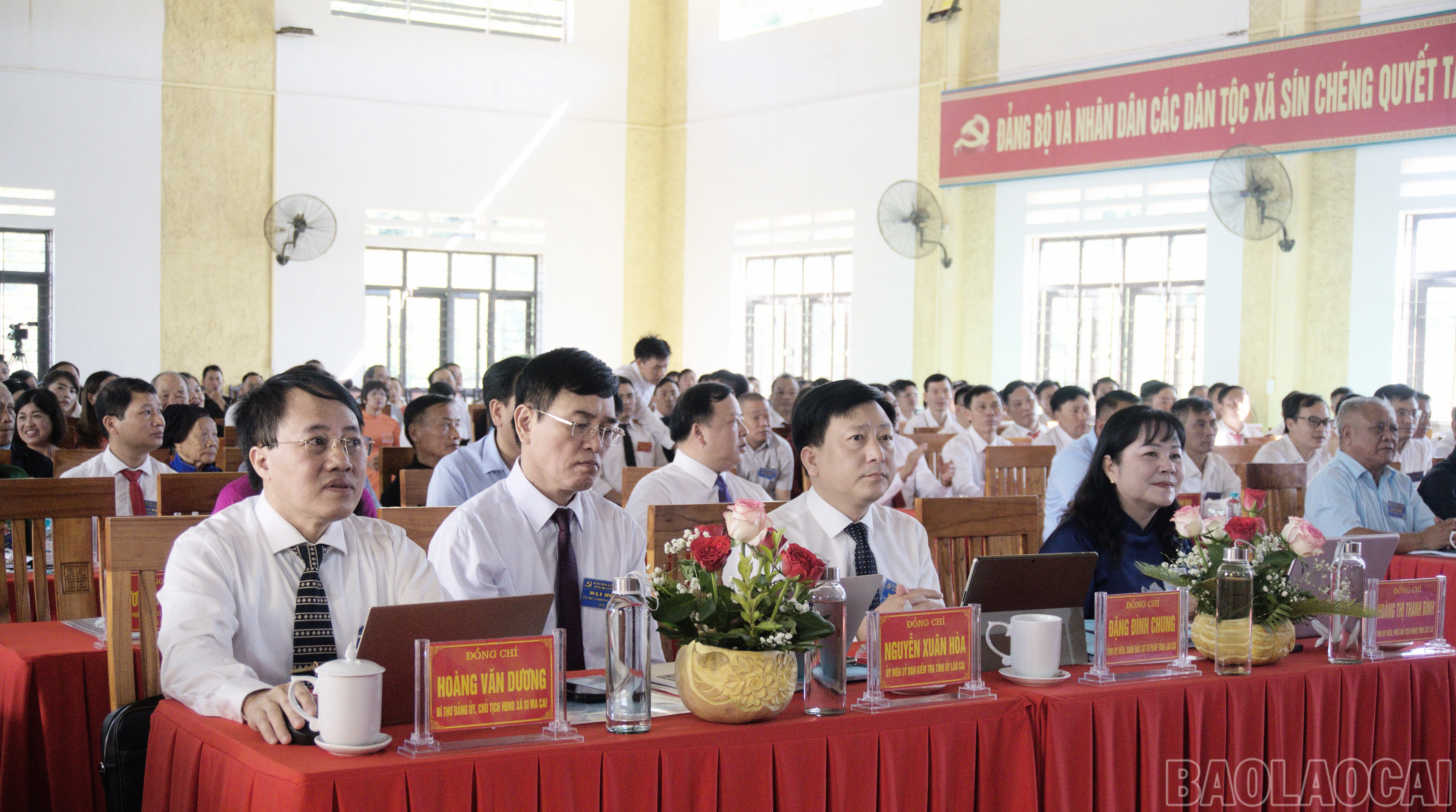 baolaocai-br_sc-0.jpg