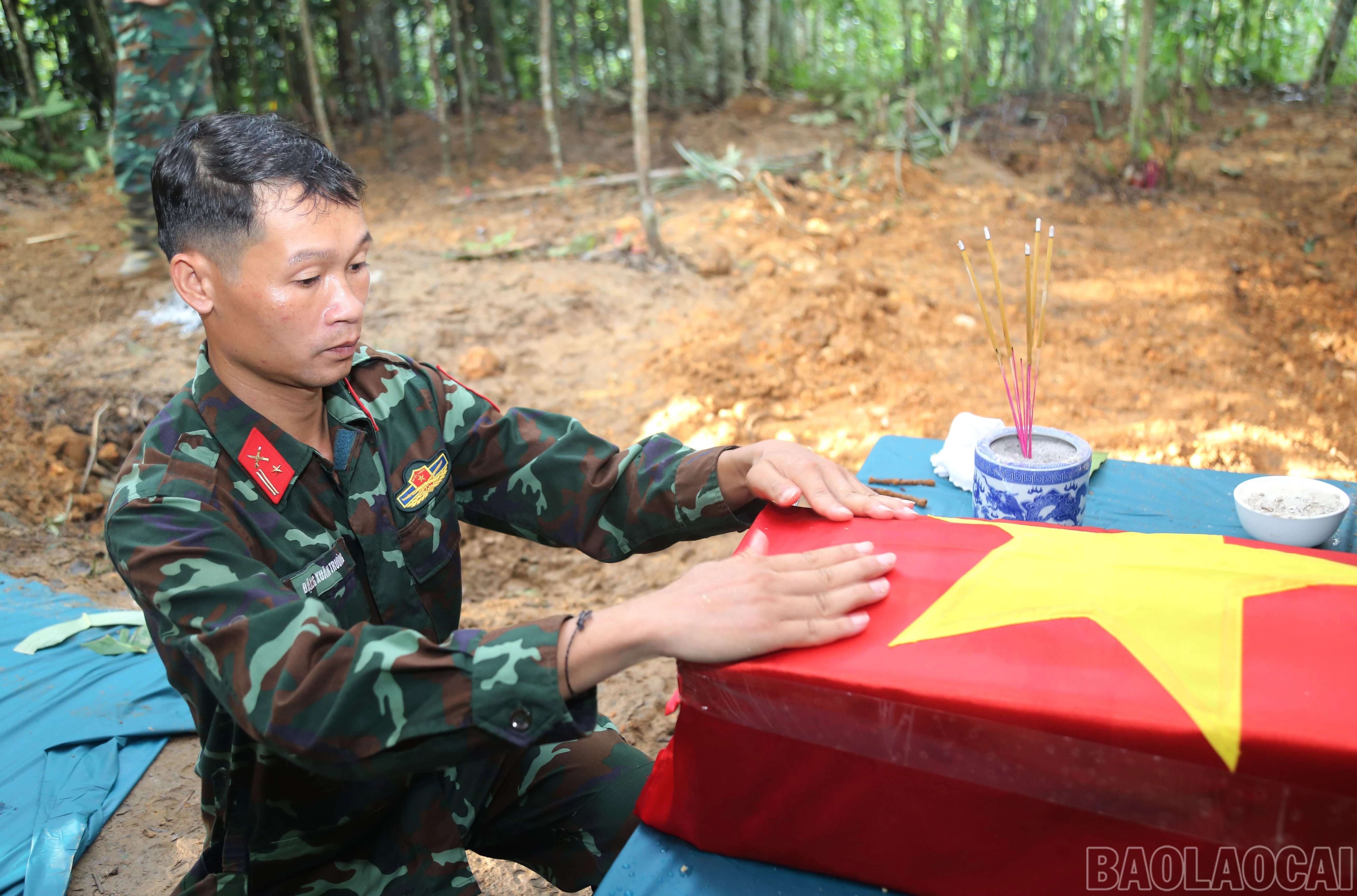 baolaocai-br_d-6.jpg