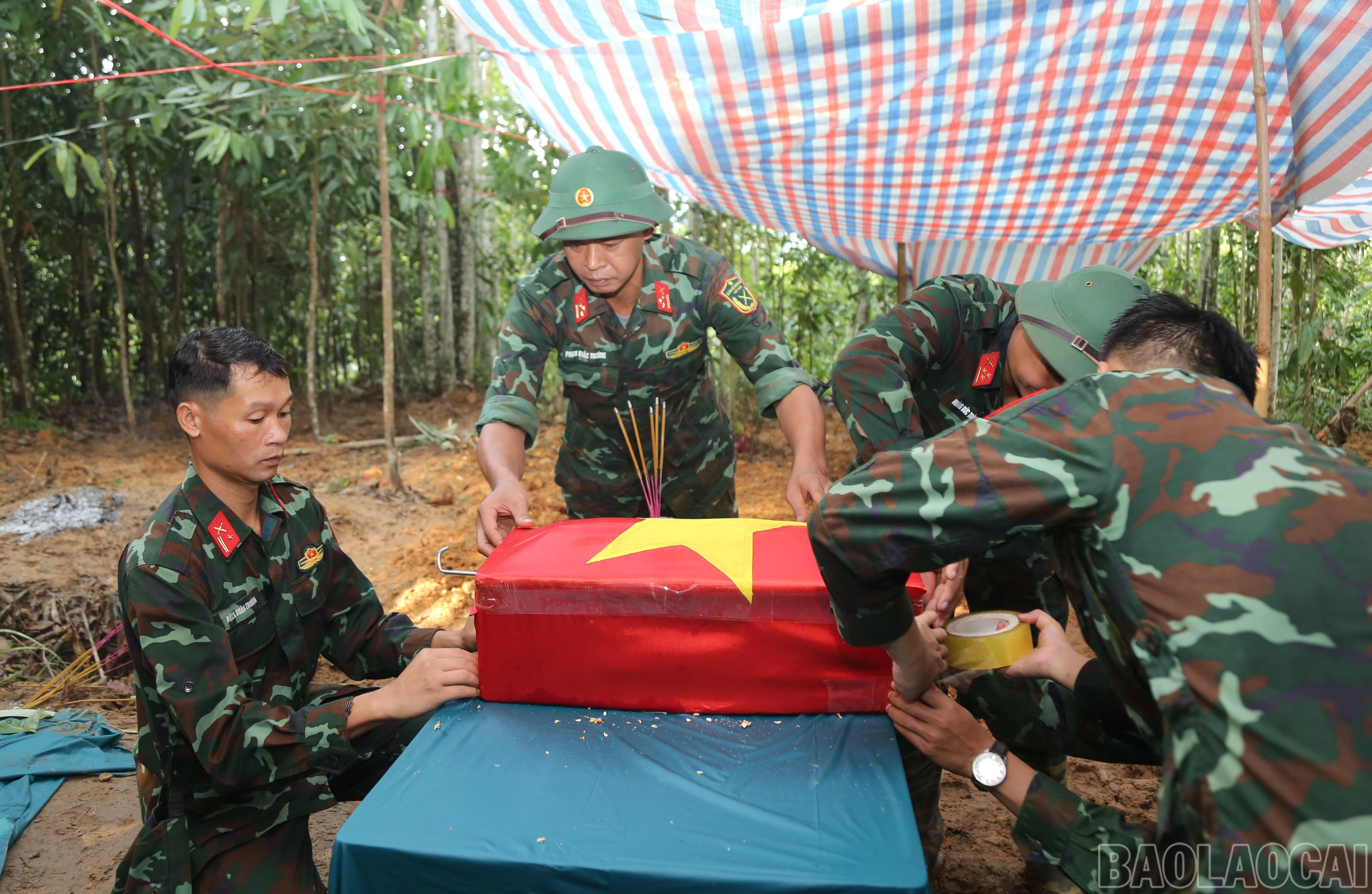 baolaocai-br_d-5.jpg