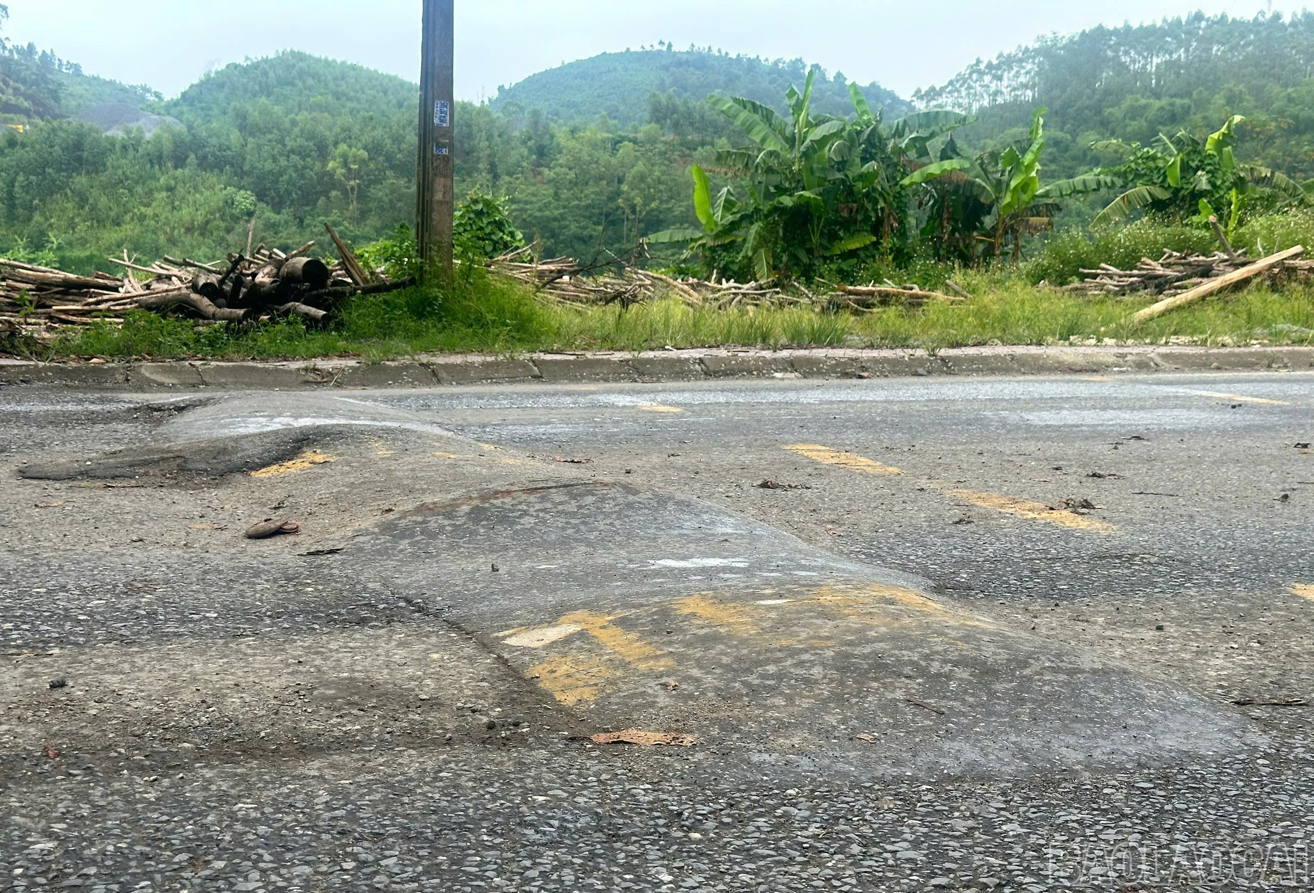 baolaocai-br_33-9565.jpg
