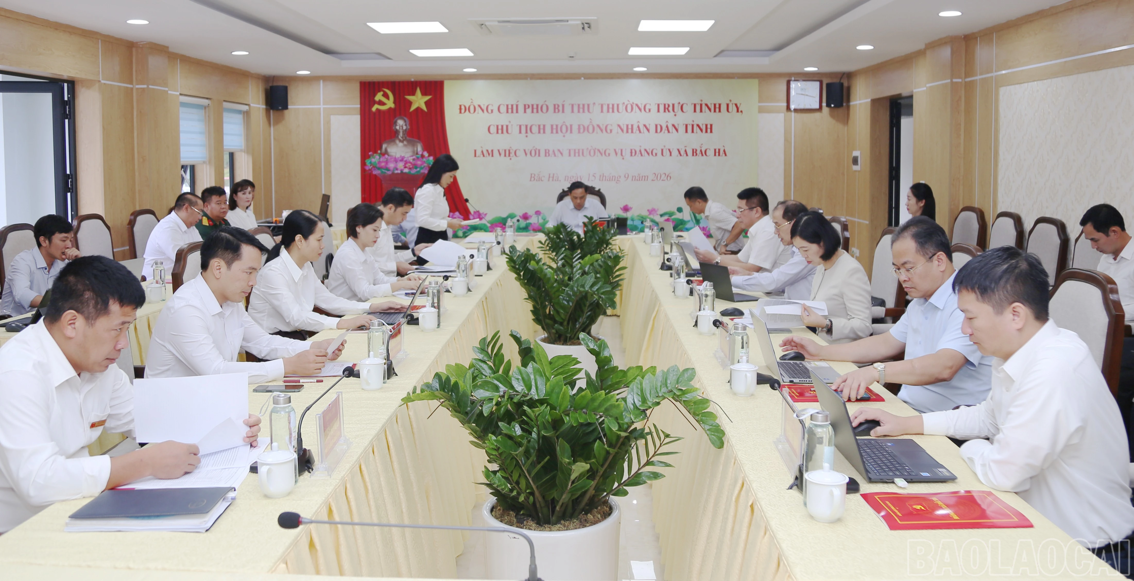 baolaocai-br_bh-8.jpg