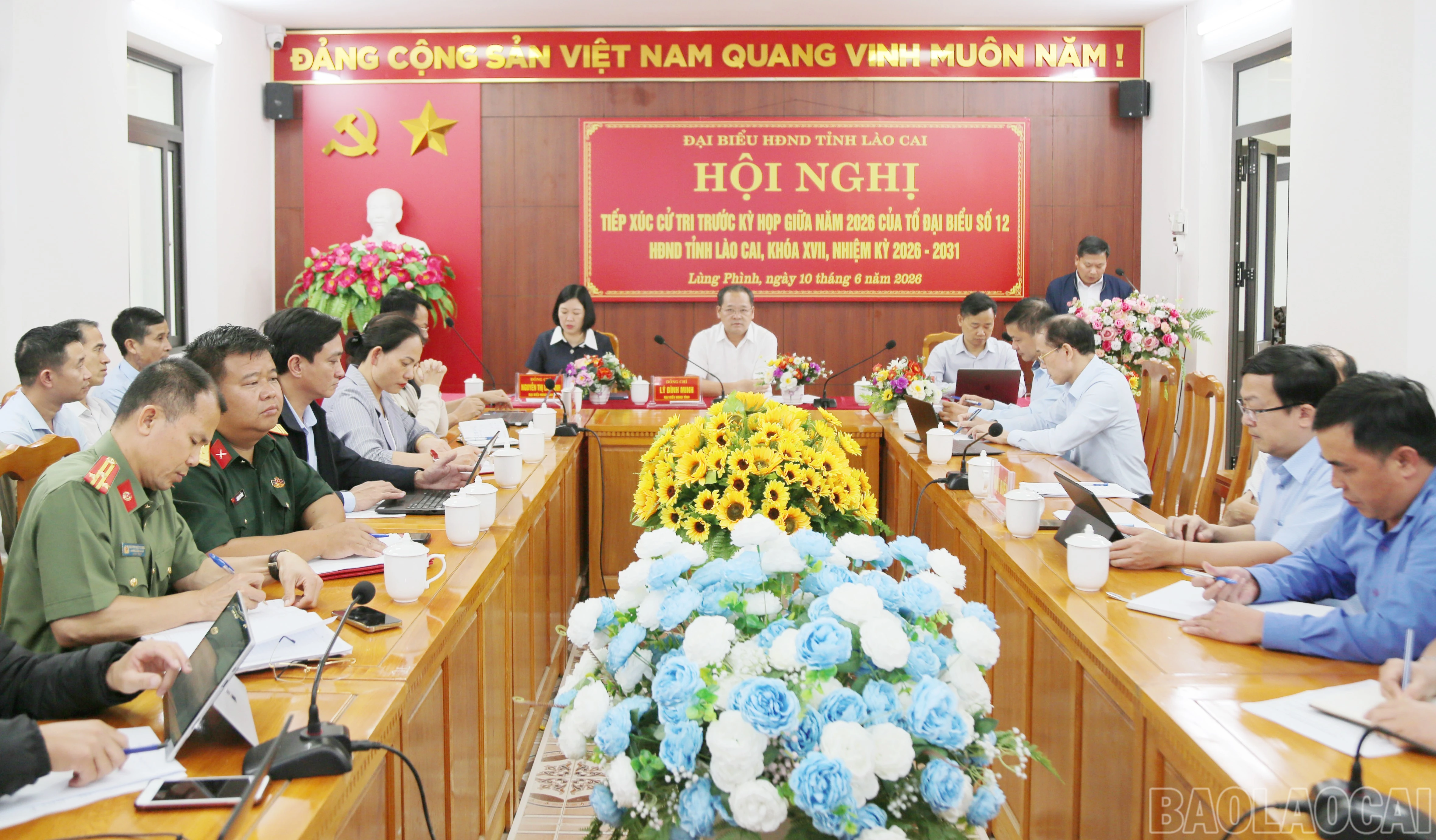 baolaocai-br_c-1.jpg