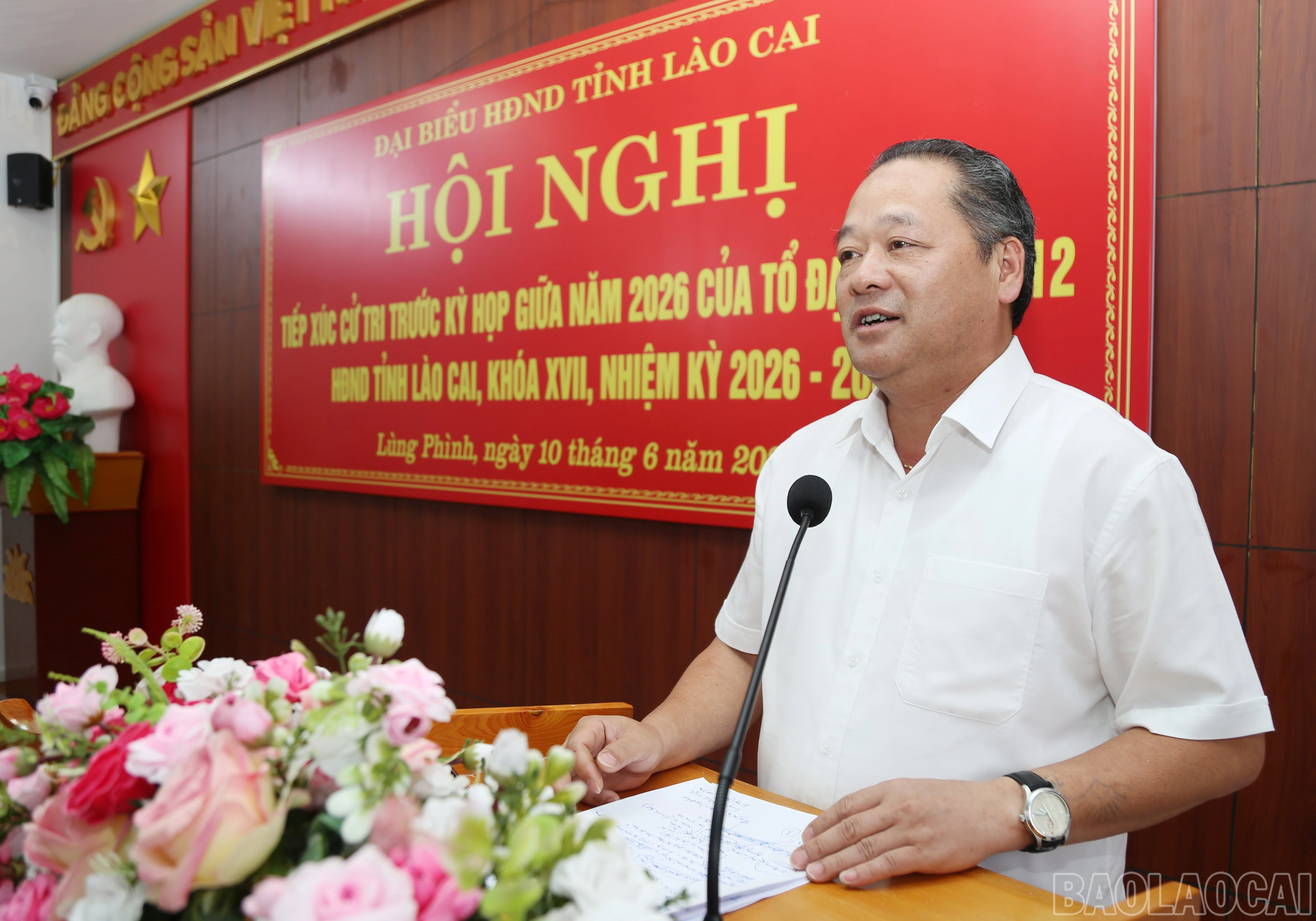 baolaocai-br_c-8.jpg