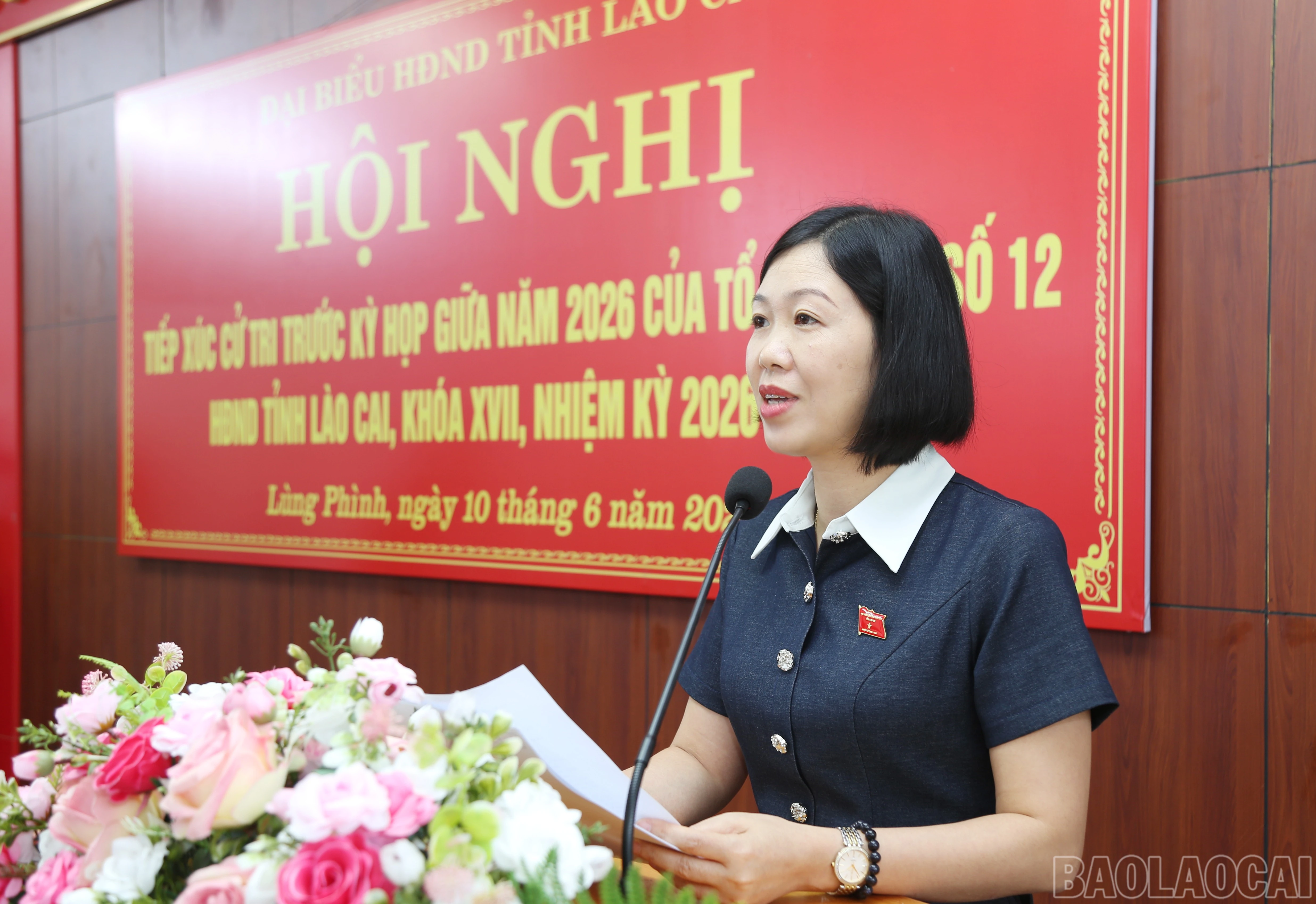 baolaocai-br_c-2.jpg