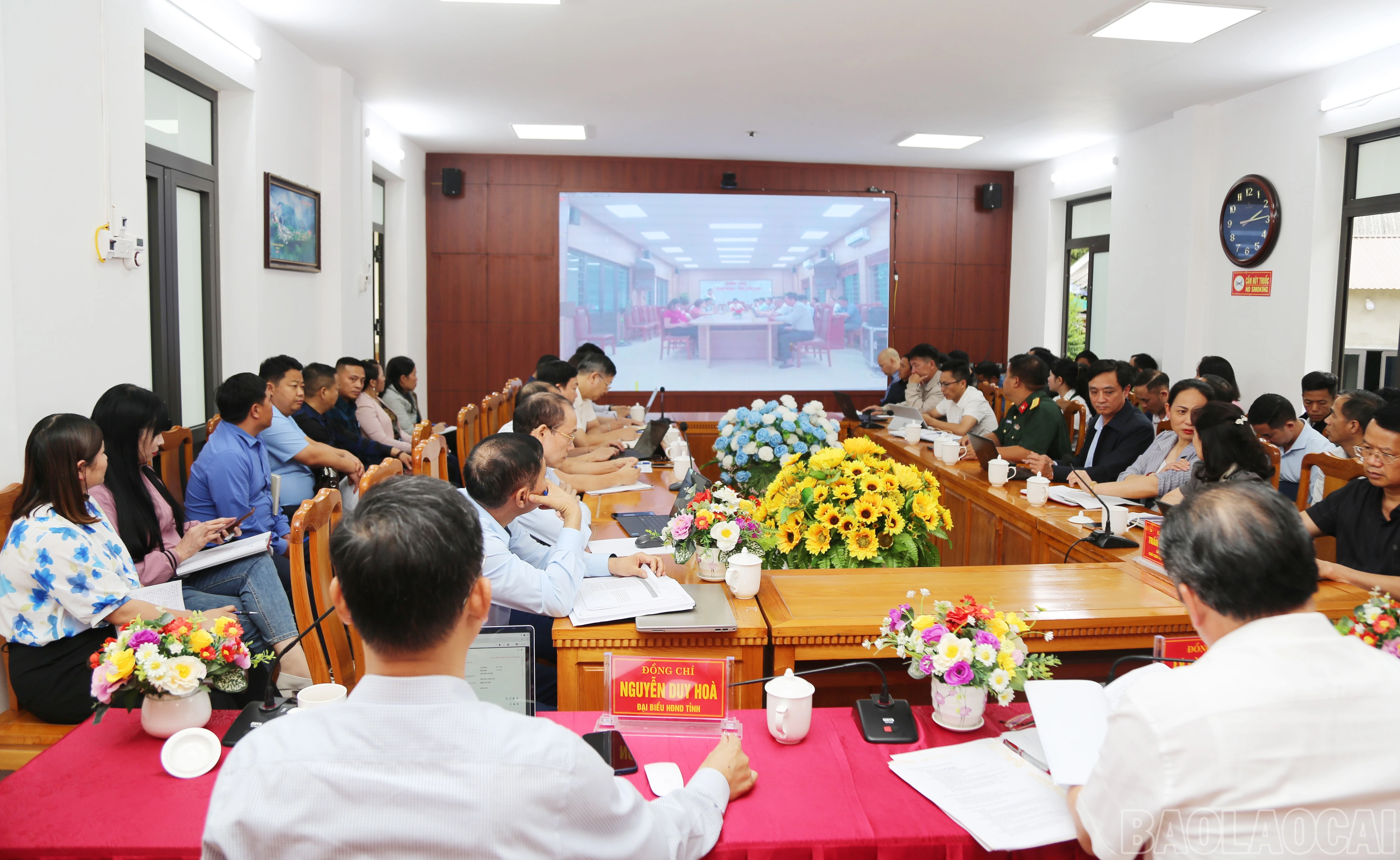 baolaocai-br_c-3.jpg