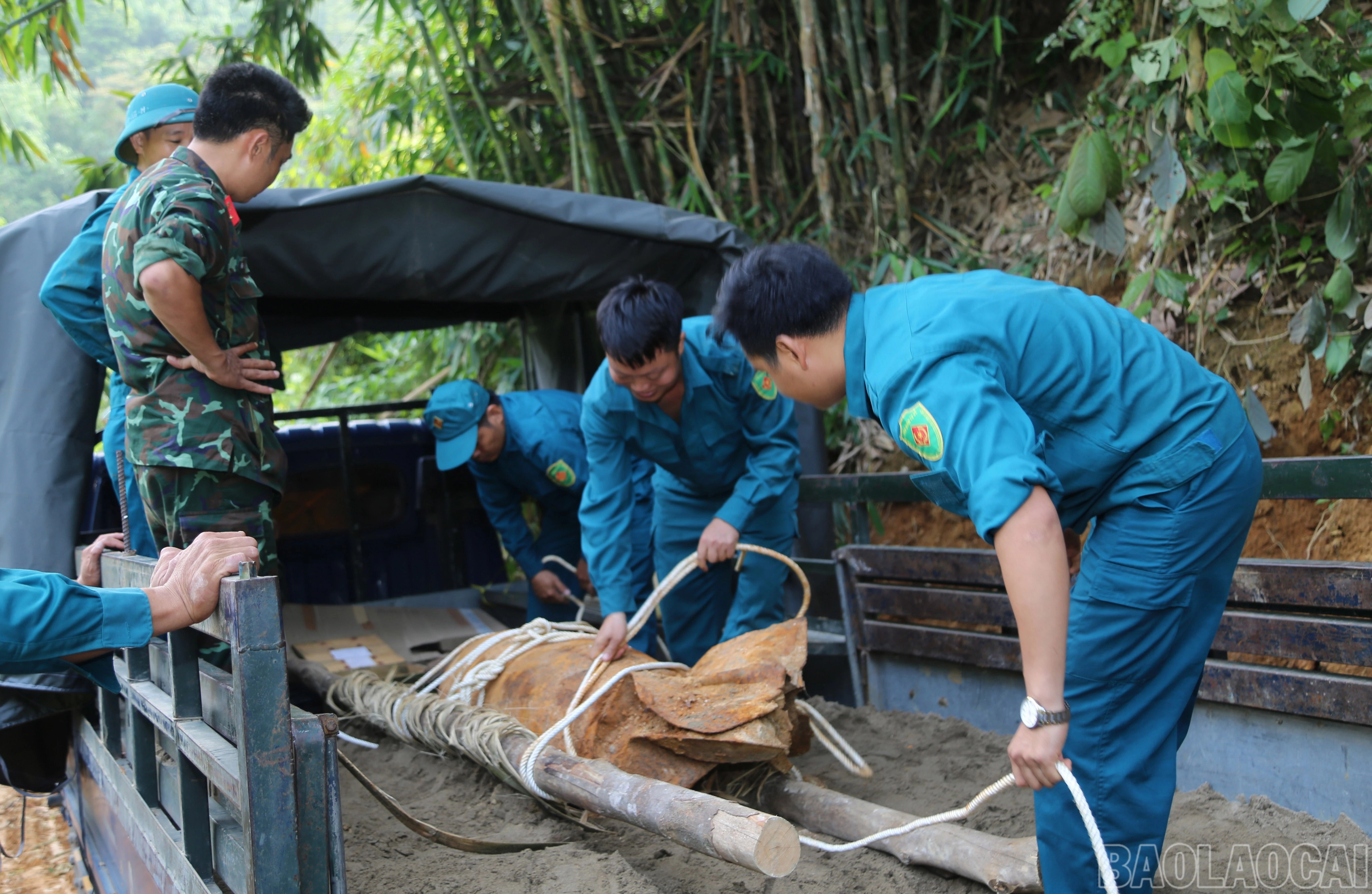 baolaocai-br_a-3.jpg