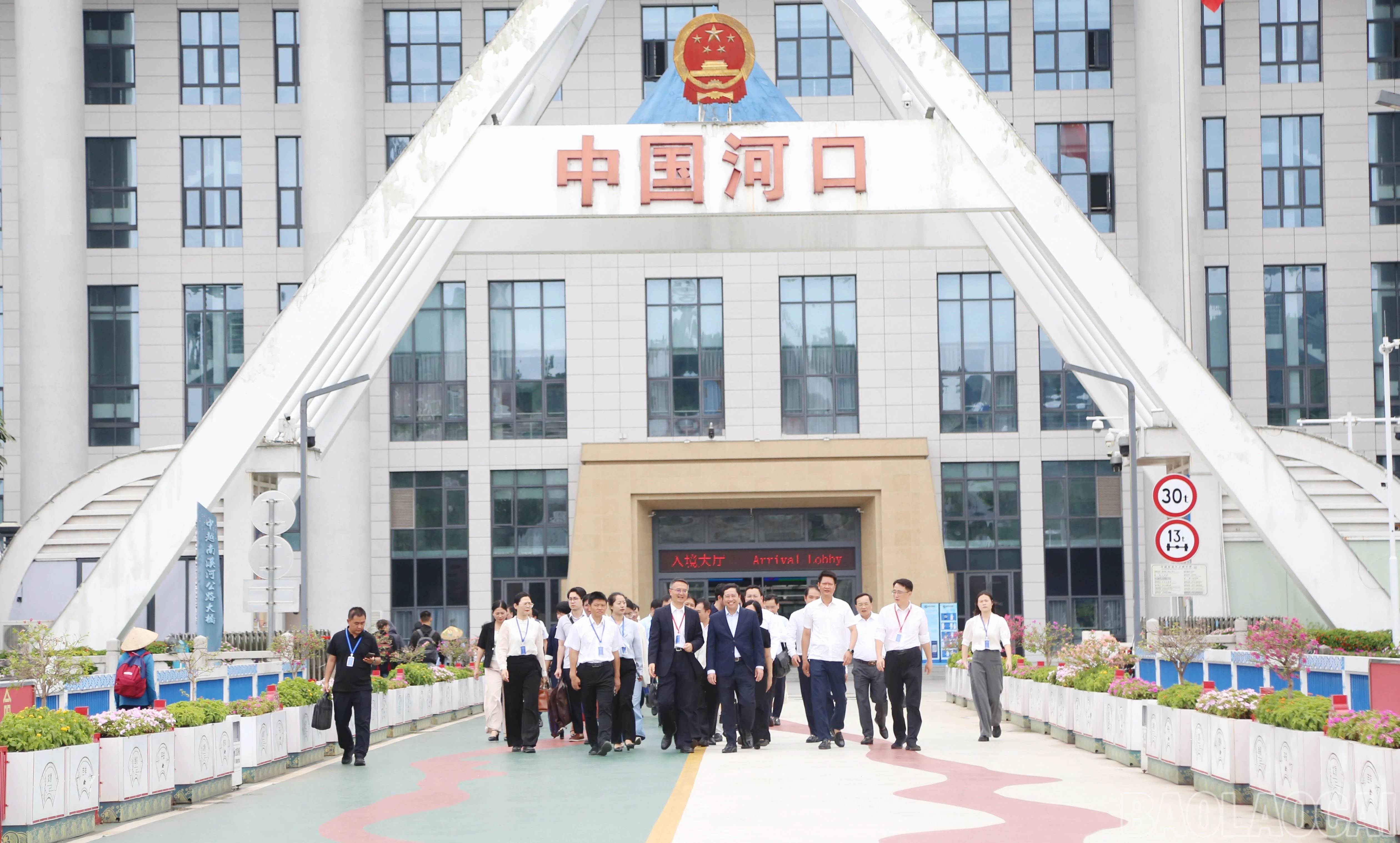 baolaocai-br_a-2-1141.jpg