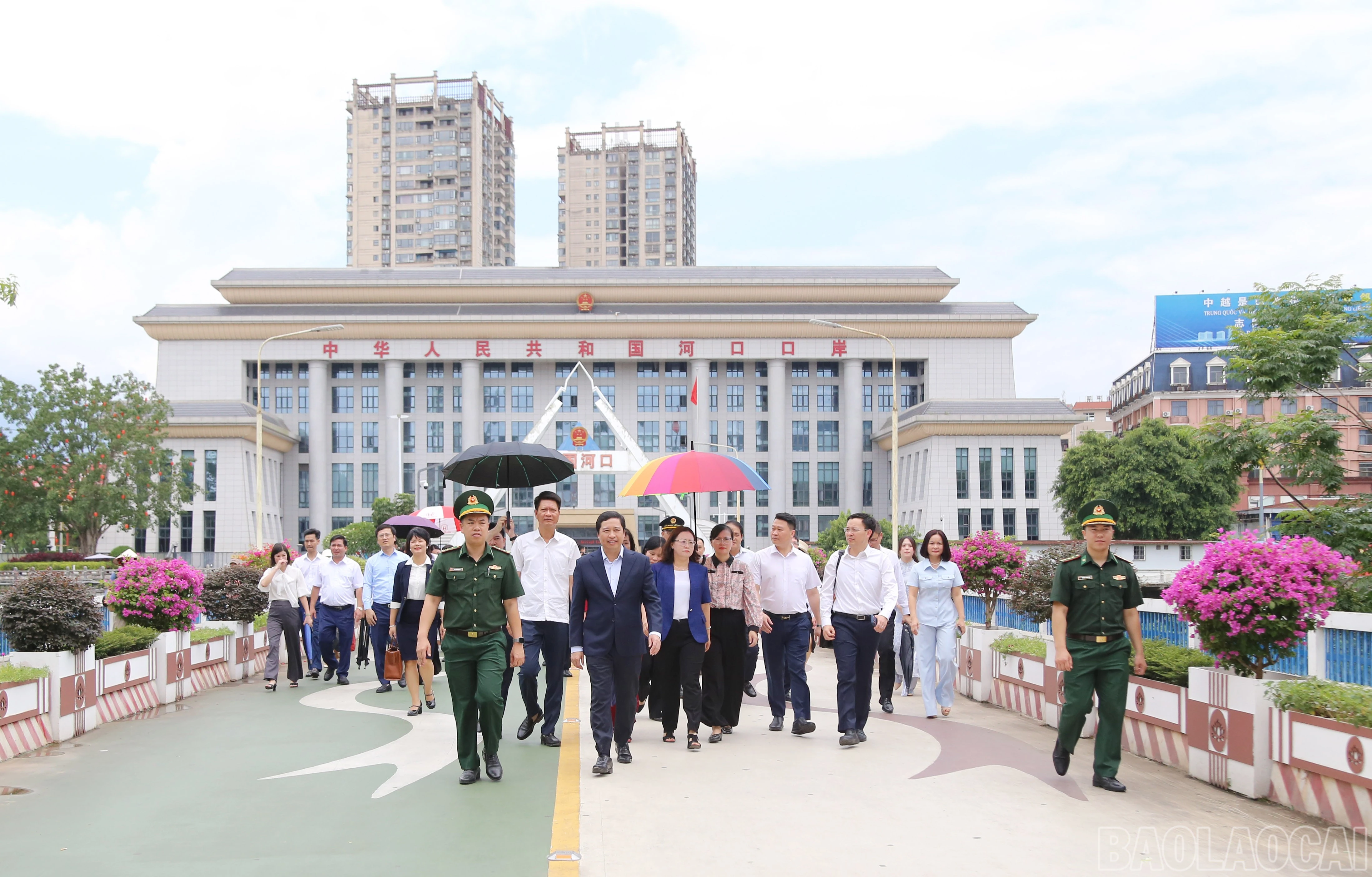 baolaocai-br_a-10-1133.jpg