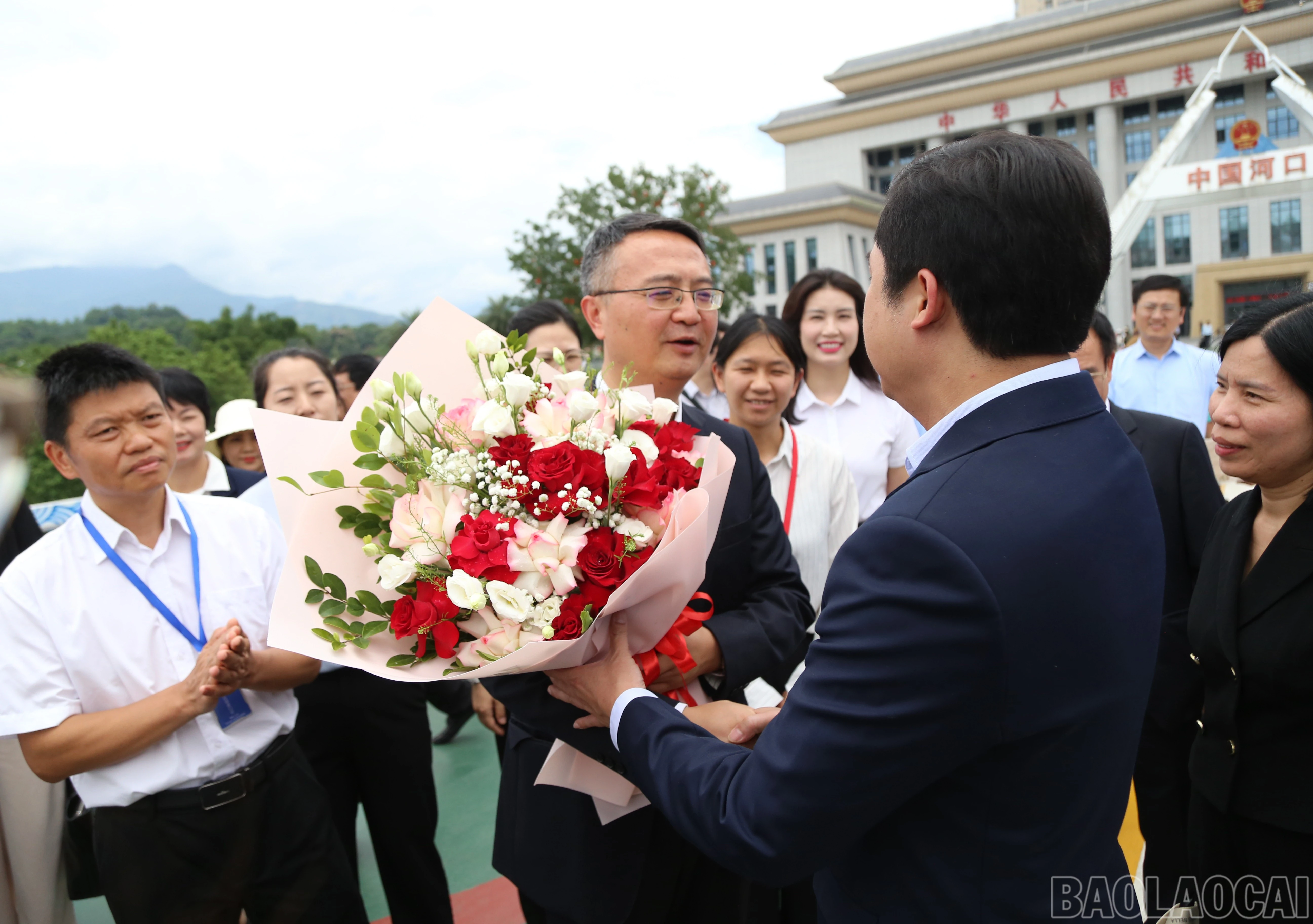 baolaocai-br_a-6.jpg