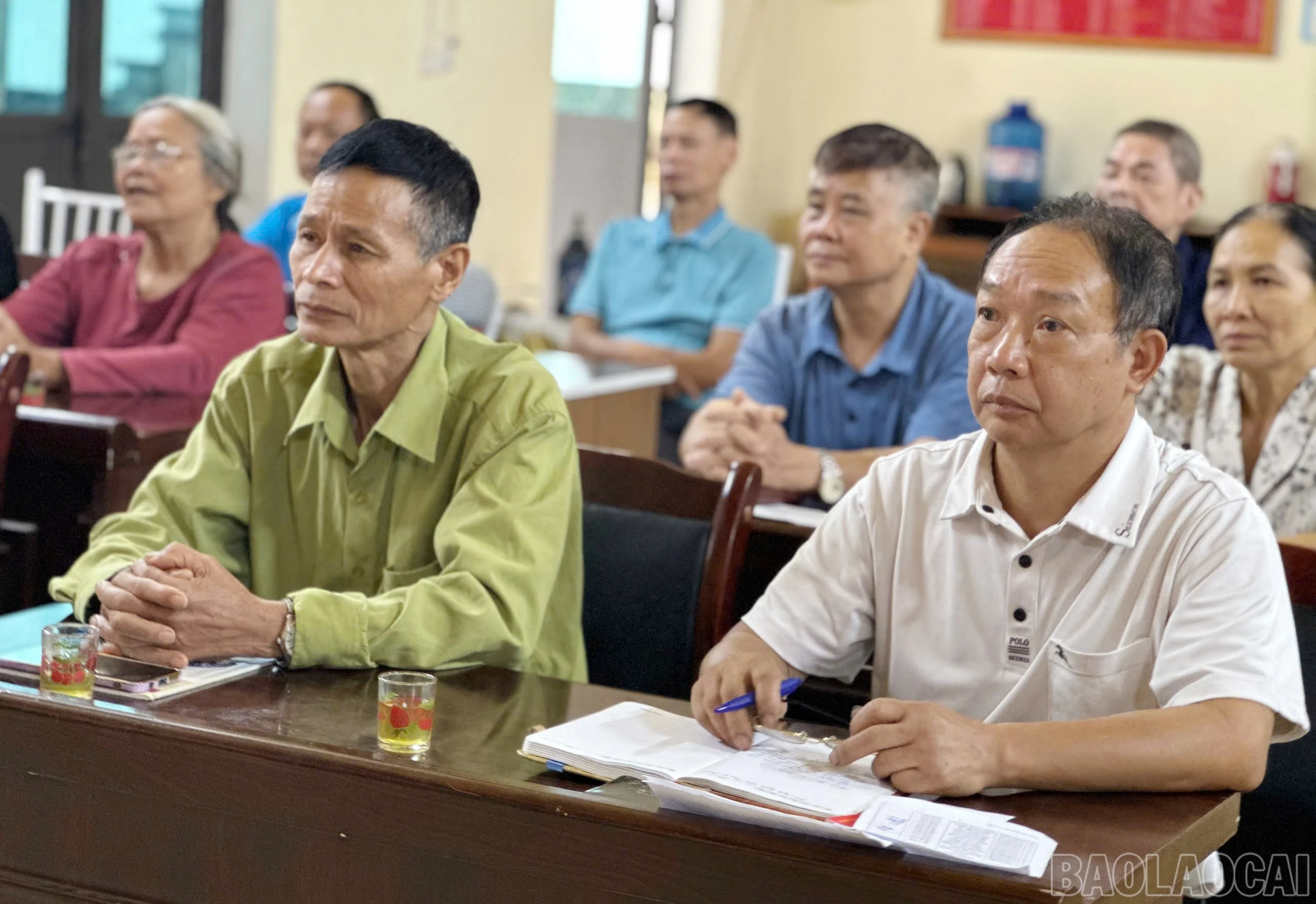 baolaocai-br_a-3.jpg