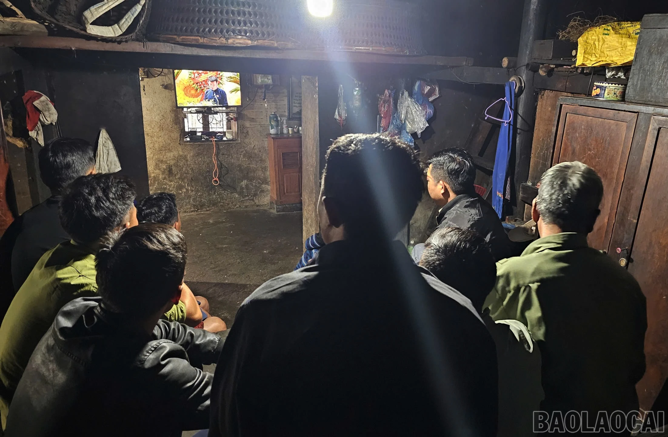 baolaocai-br_c-2.jpg
