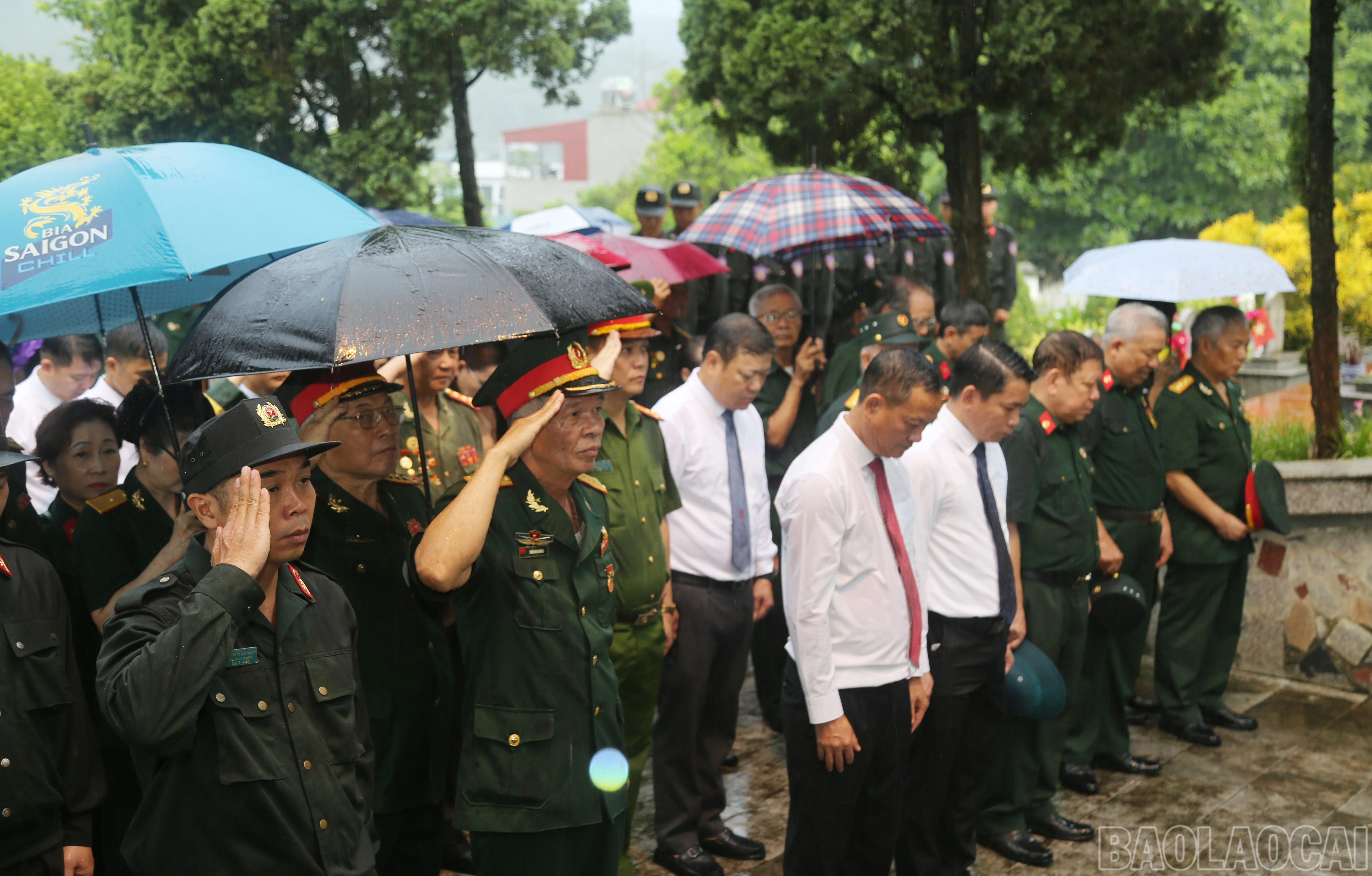 baolaocai-br_a-8.jpg