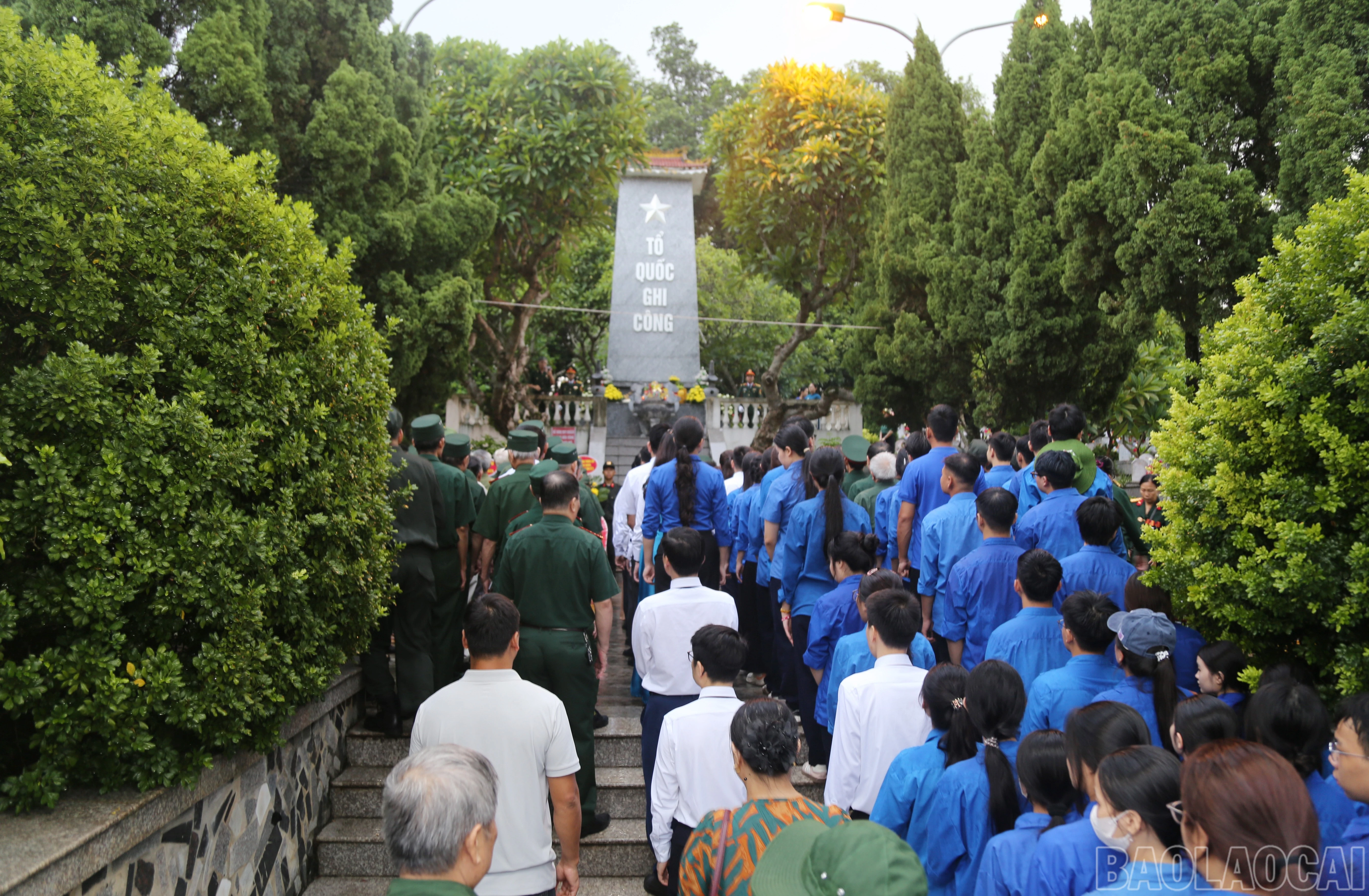 baolaocai-br_a-1.jpg