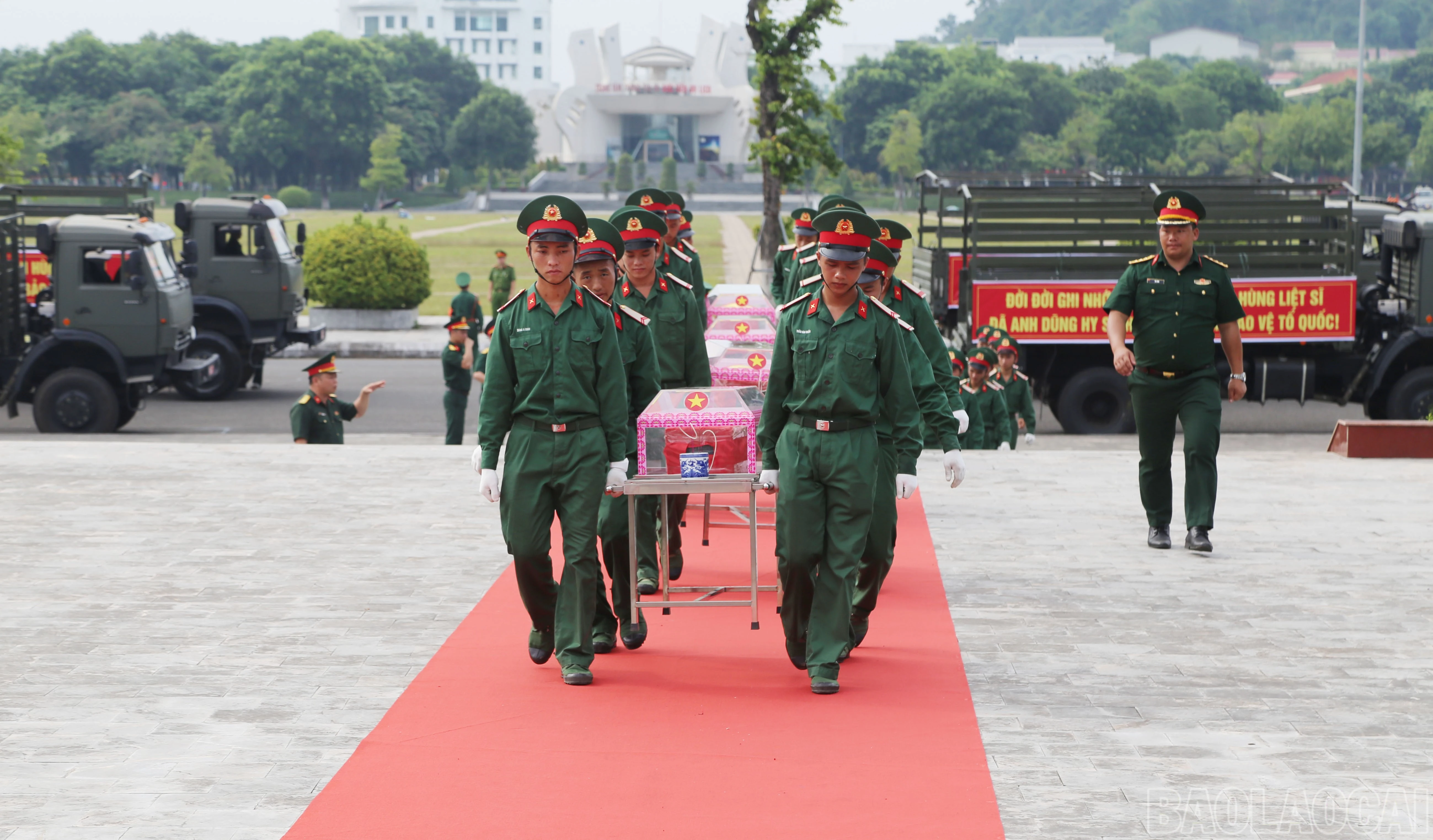 baolaocai-br_a-4750.jpg