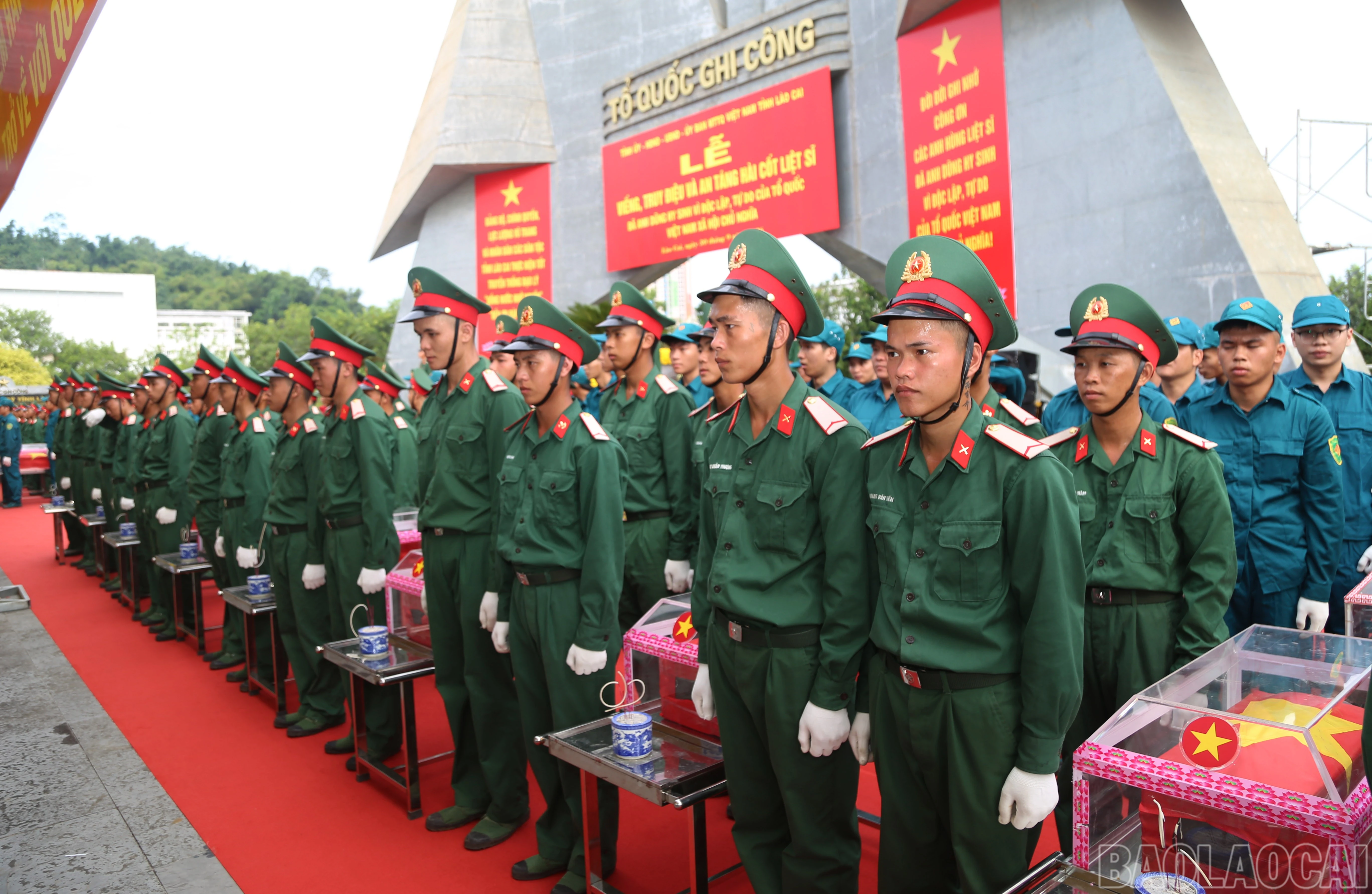 baolaocai-br_a-9182.jpg