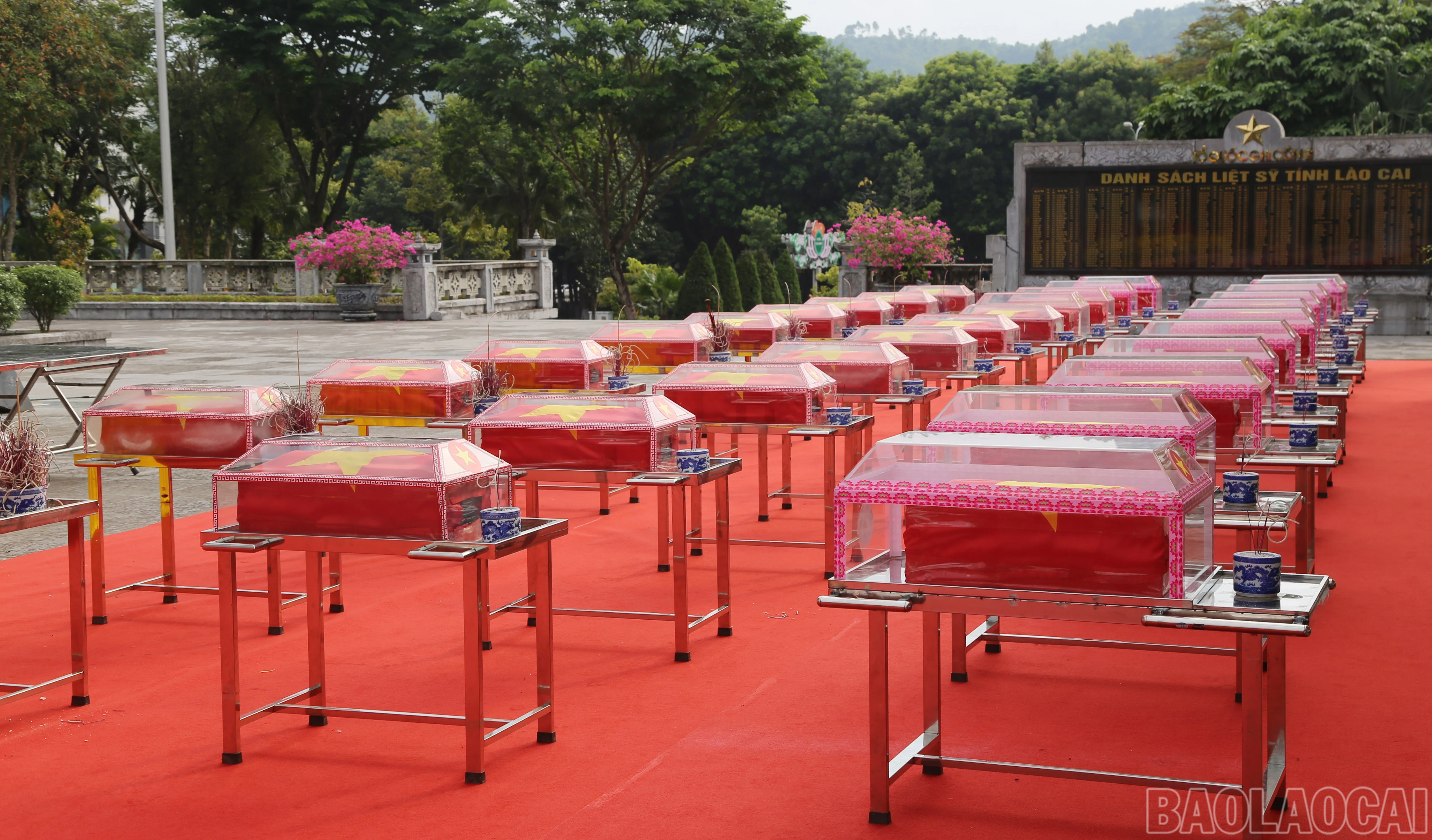 baolaocai-br_a-80.jpg