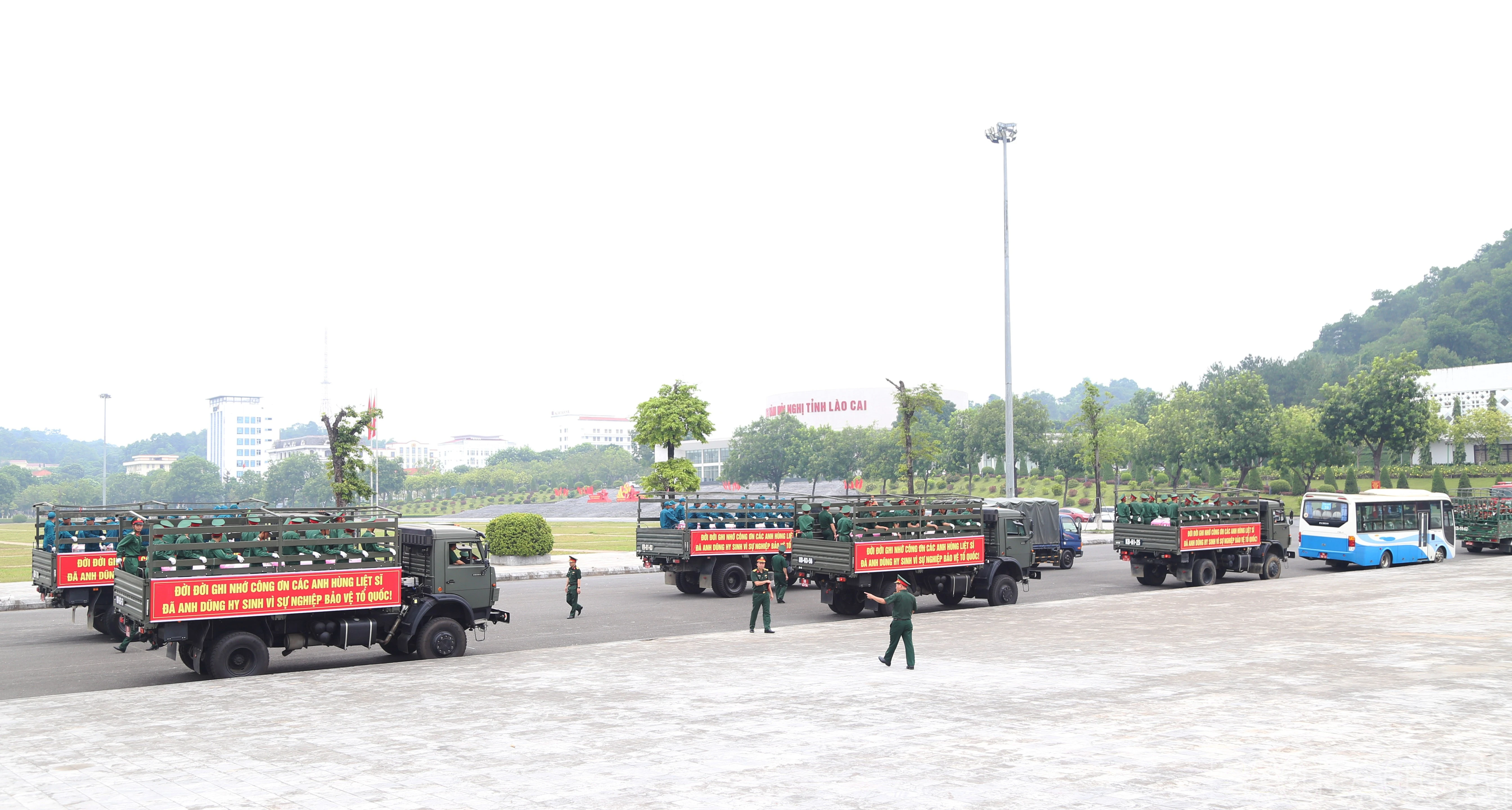 baolaocai-br_a-13.jpg